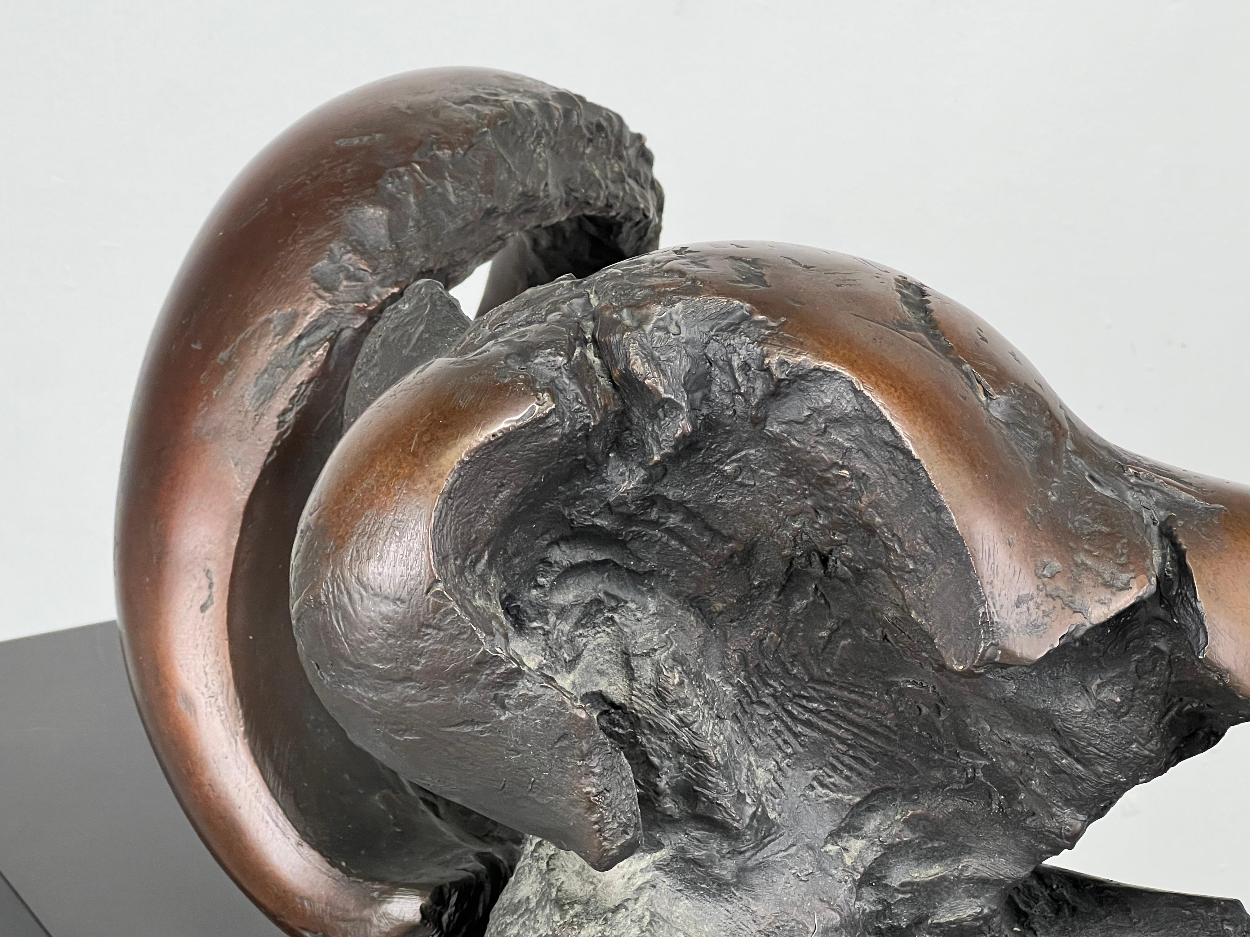 'Small Skull & Horn after Orvieto V', bronze by Jack Zajac For Sale 2