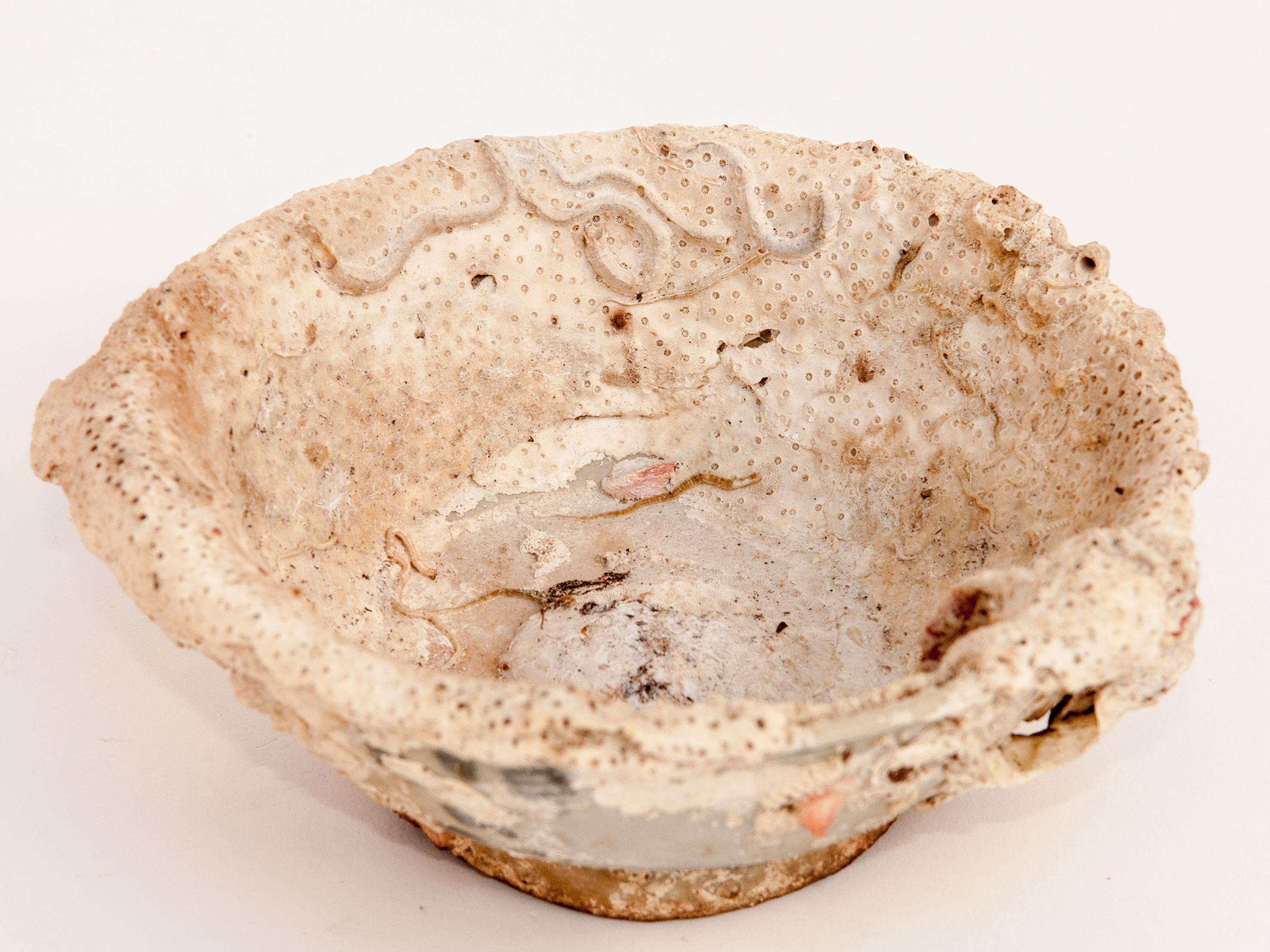 Hand-Crafted Small Song Dynasty Celadon Bowl with Encrustations, China, 12th Century.