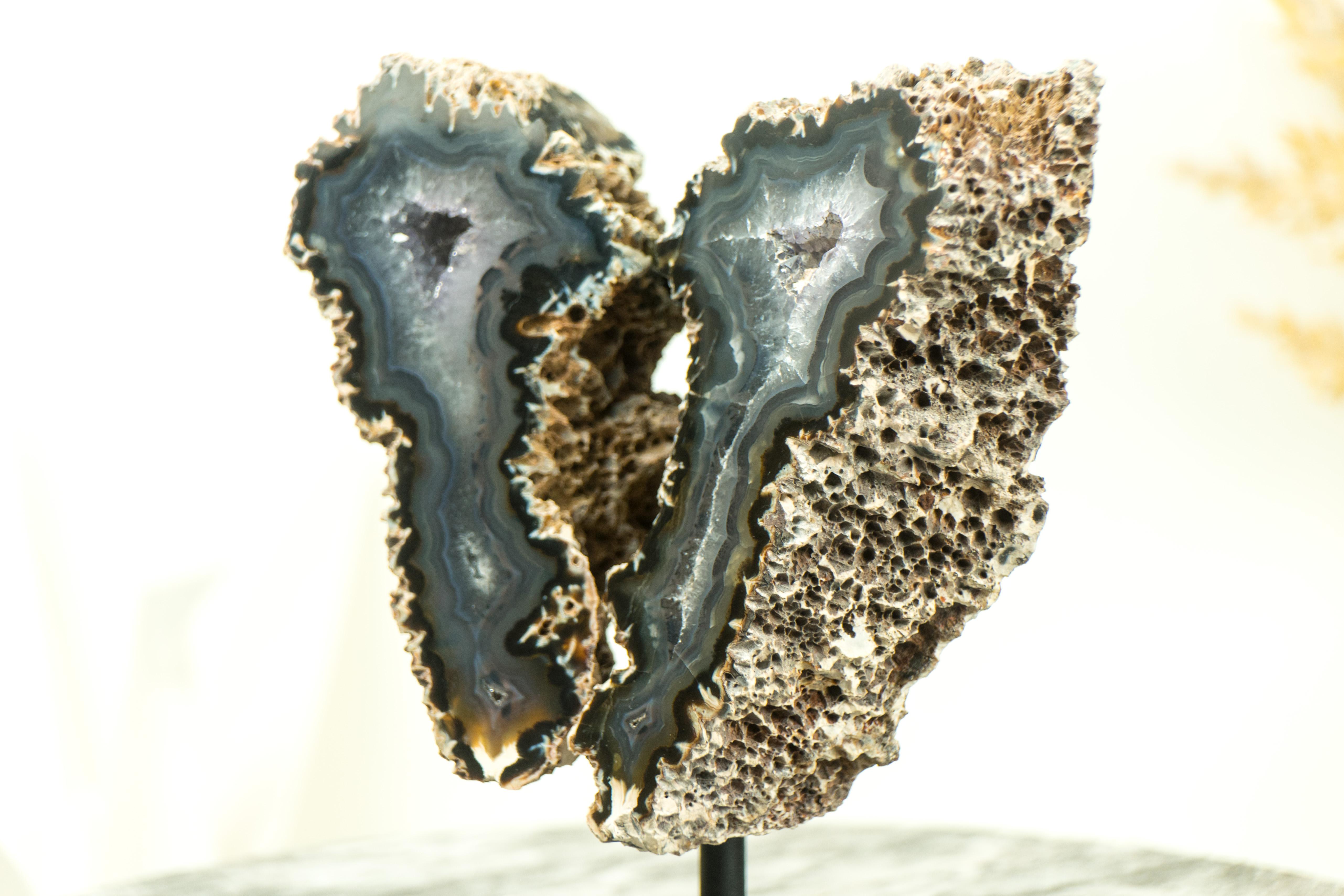 Small Spiky Lace Agate Geode with Druzy, in Butterfly Wings Format, Intact For Sale 4