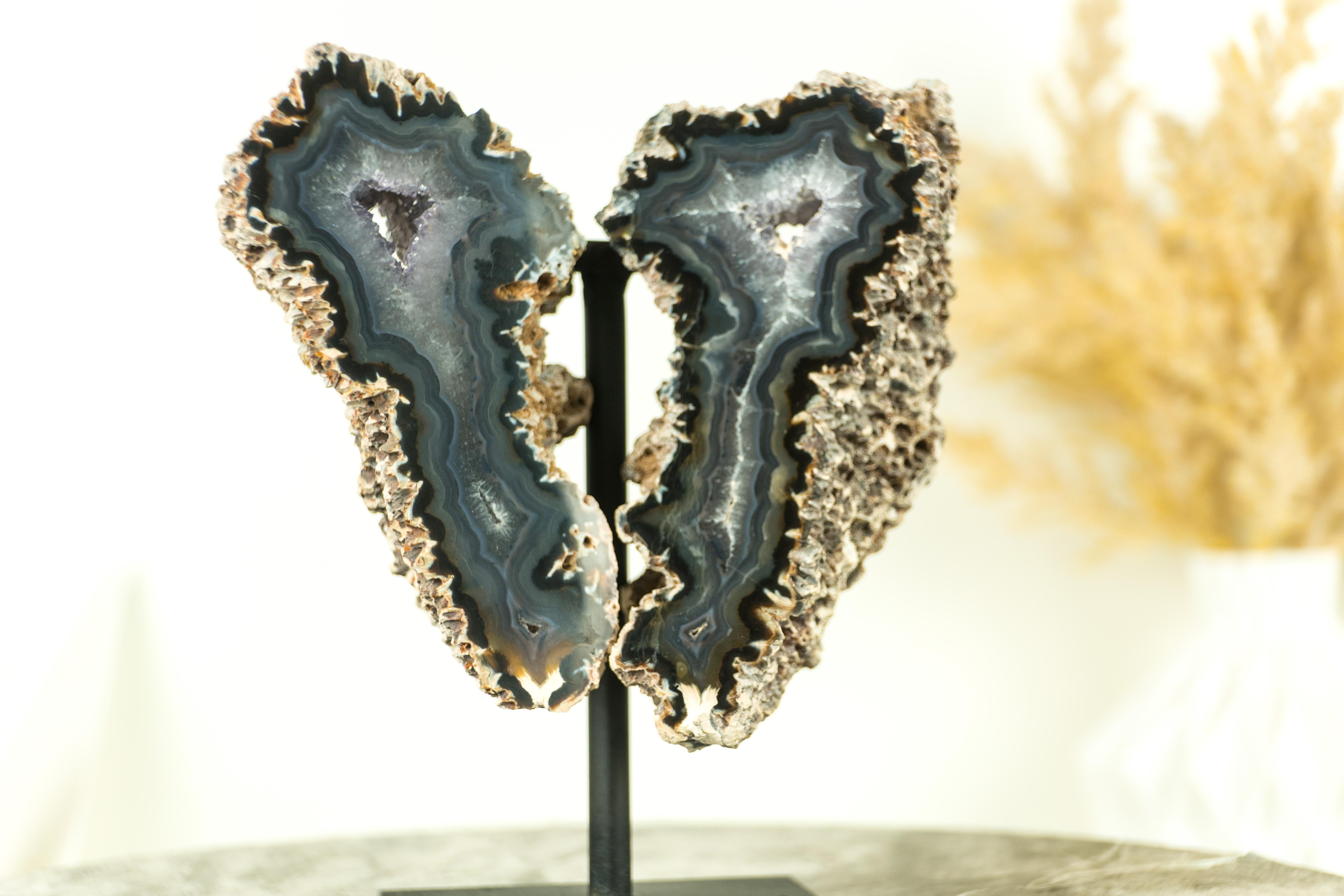 Small Spiky Lace Agate Geode with Druzy, in Butterfly Wings Format, Intact For Sale 5