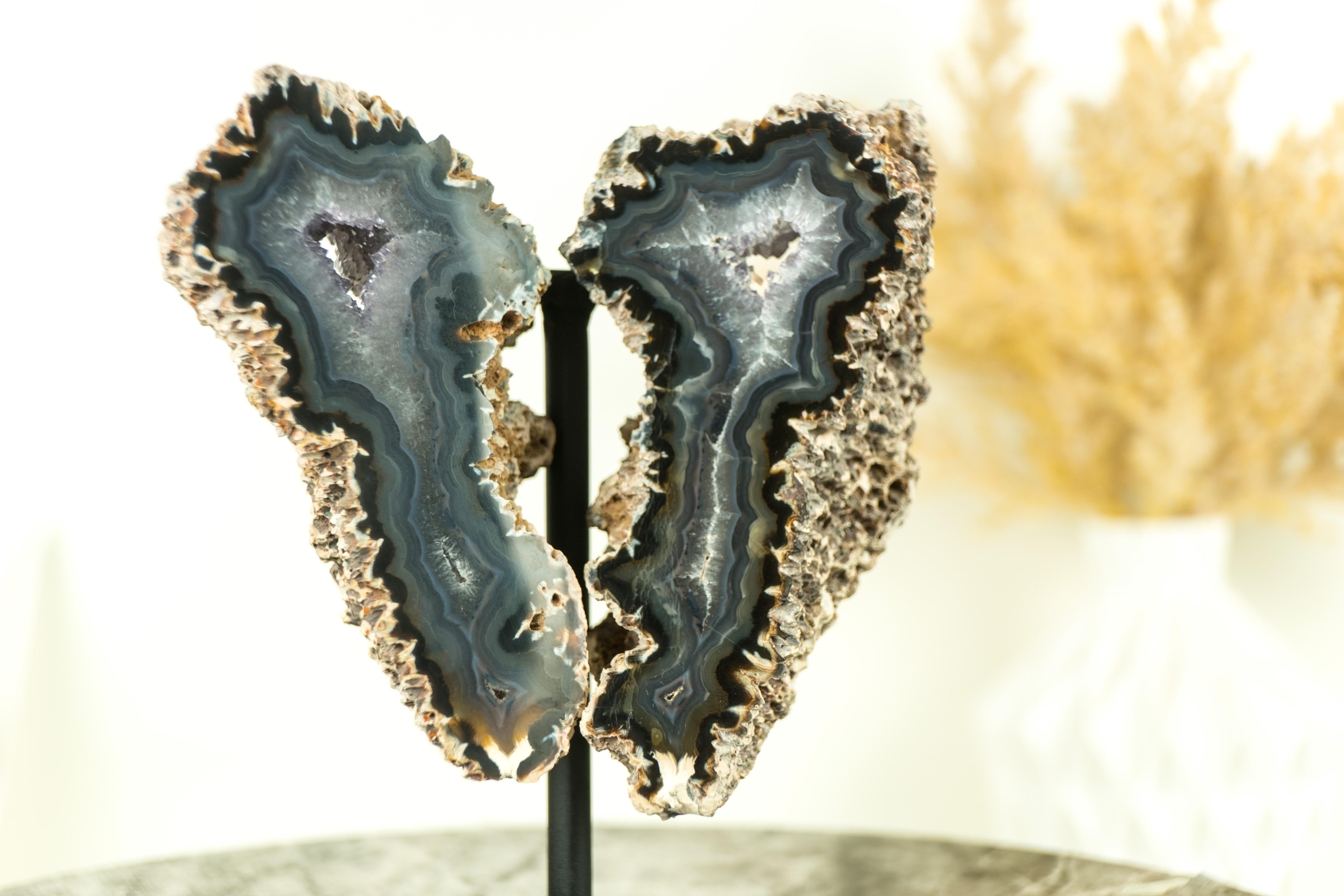 Small Spiky Lace Agate Geode with Druzy, in Butterfly Wings Format, Intact For Sale 6