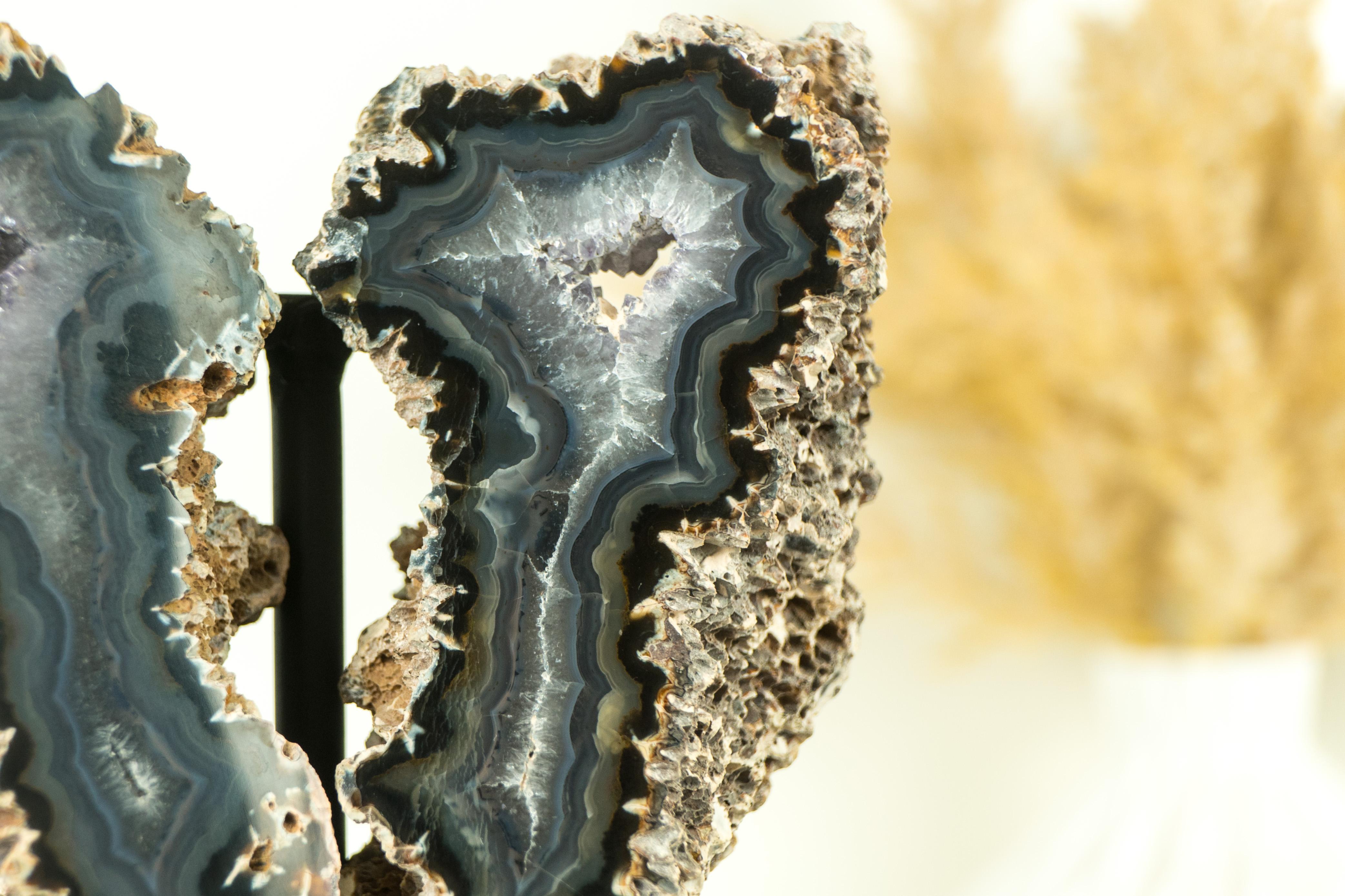 Small Spiky Lace Agate Geode with Druzy, in Butterfly Wings Format, Intact For Sale 7