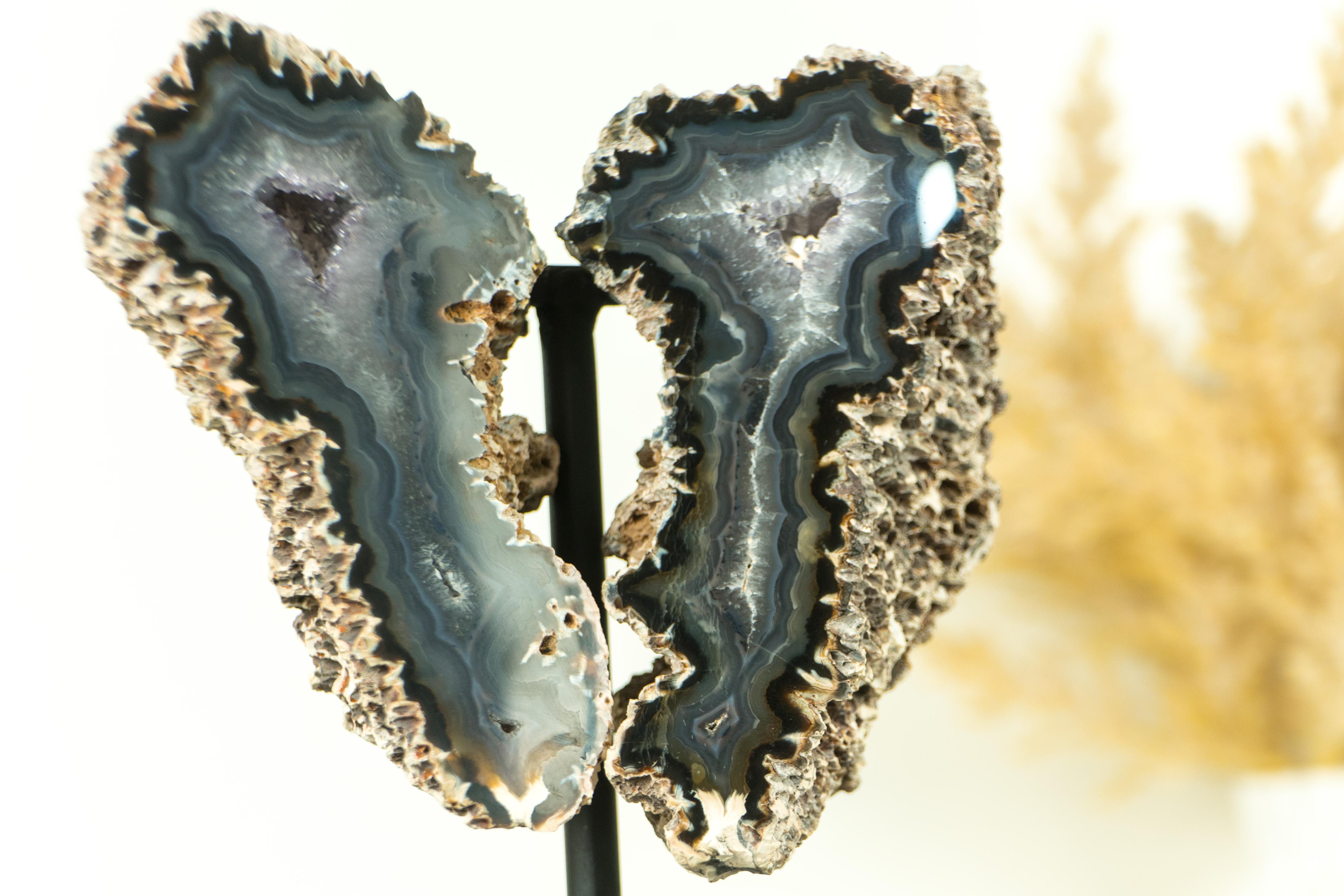 Small Spiky Lace Agate Geode with Druzy, in Butterfly Wings Format, Intact For Sale 8