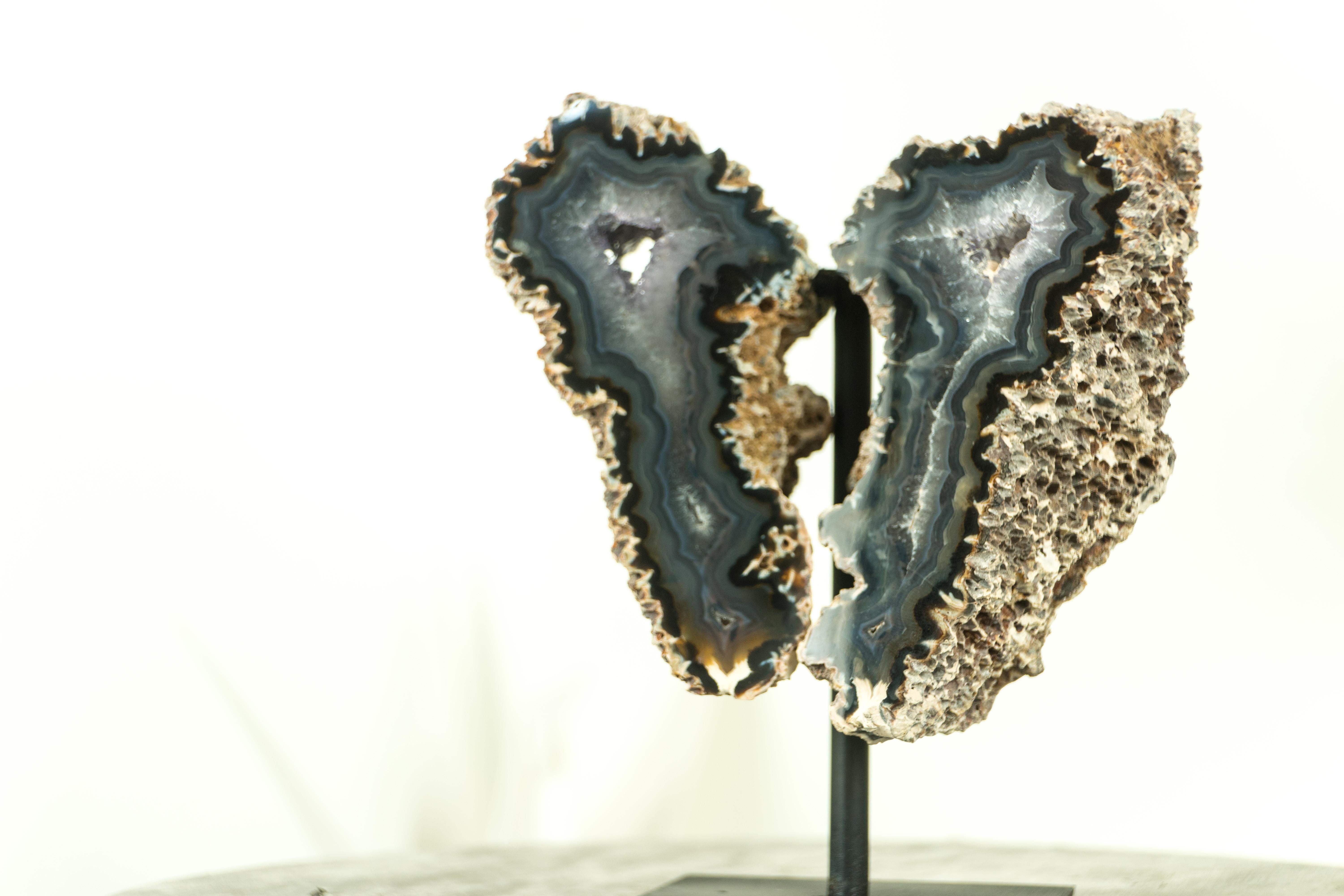 Small Spiky Lace Agate Geode with Druzy, in Butterfly Wings Format, Intact For Sale 9