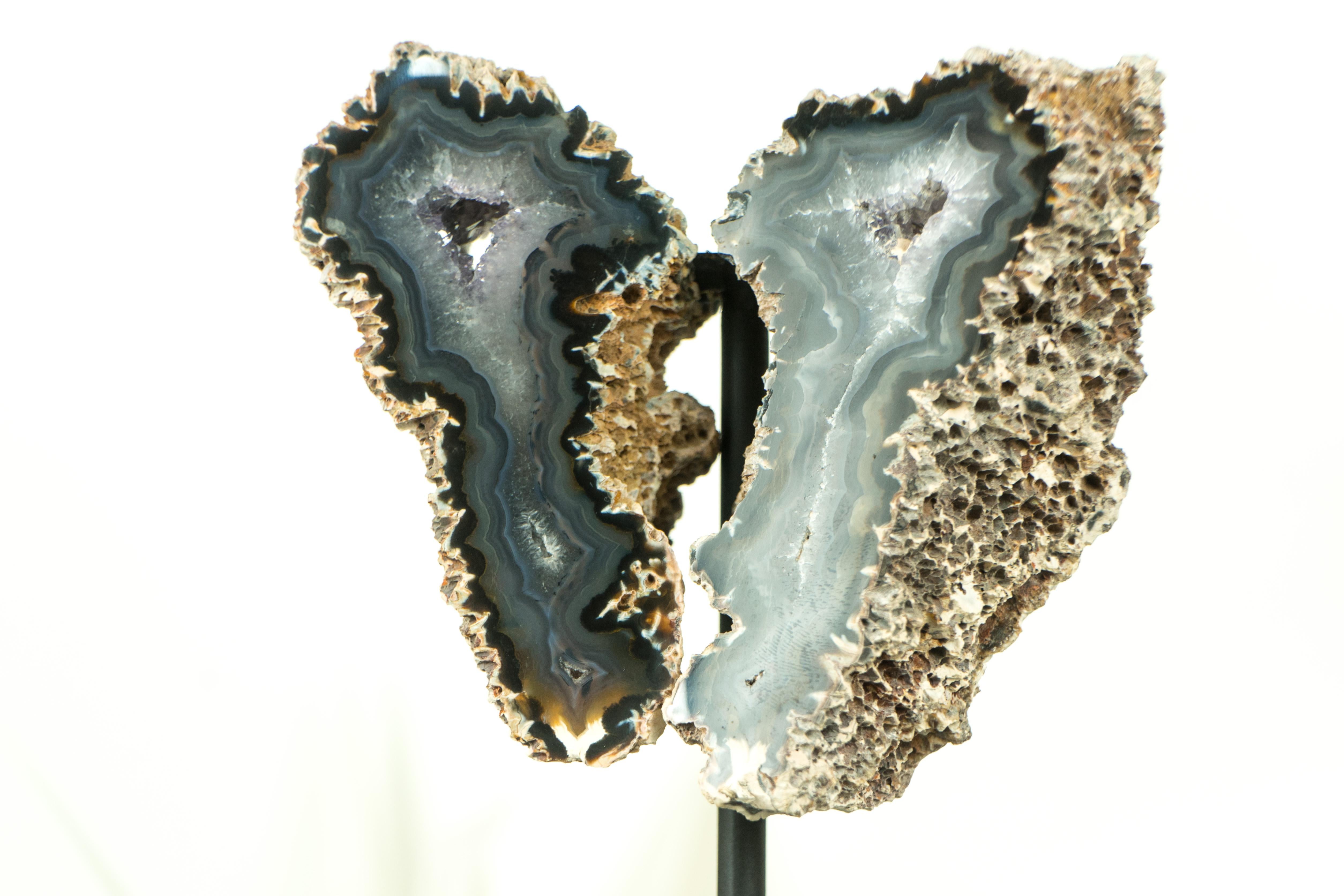 This unique, small agate geode displays gallery-grade formation of the agate laces as well, and it is a gorgeous geode from the outside. A top-tier specimen, it's perfect for your gallery shelf or as a standout addition to your table that will leave