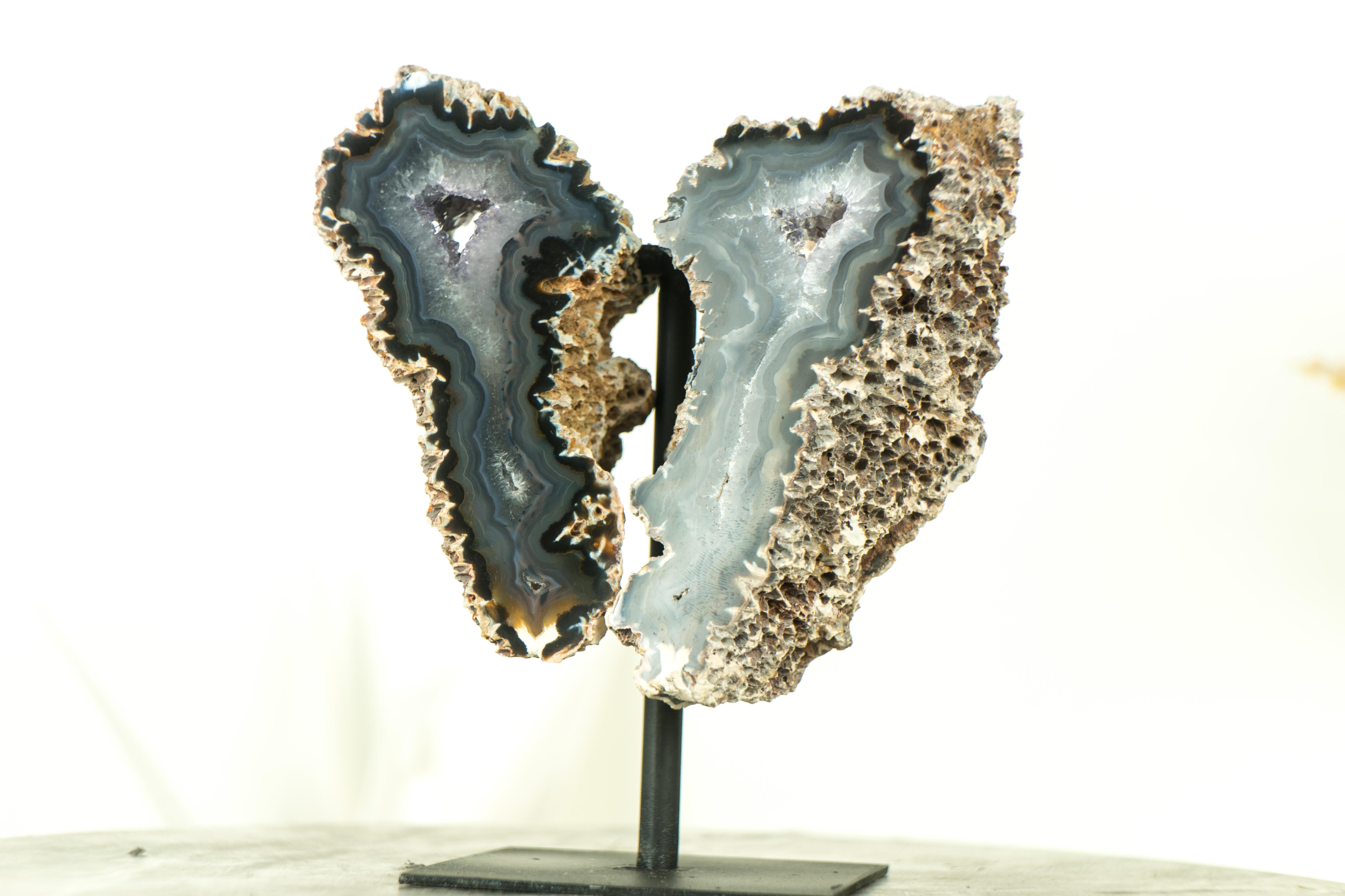 Kleiner Spiky Lace Achat Geode mit Druzy, in Schmetterlingsflügelformat, Intact (Brasilianisch) im Angebot