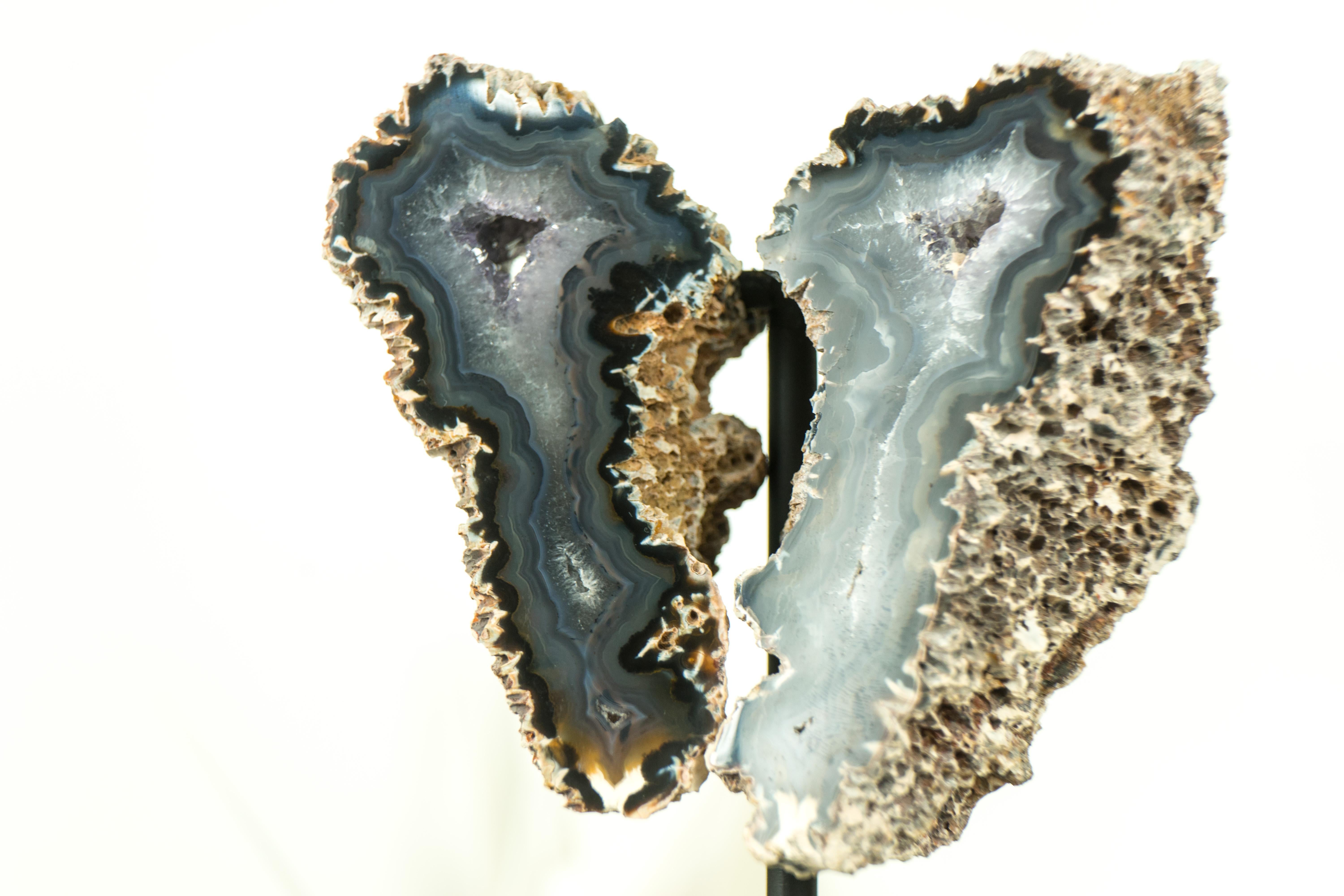 Small Spiky Lace Agate Geode with Druzy, in Butterfly Wings Format, Intact In New Condition For Sale In Ametista Do Sul, BR