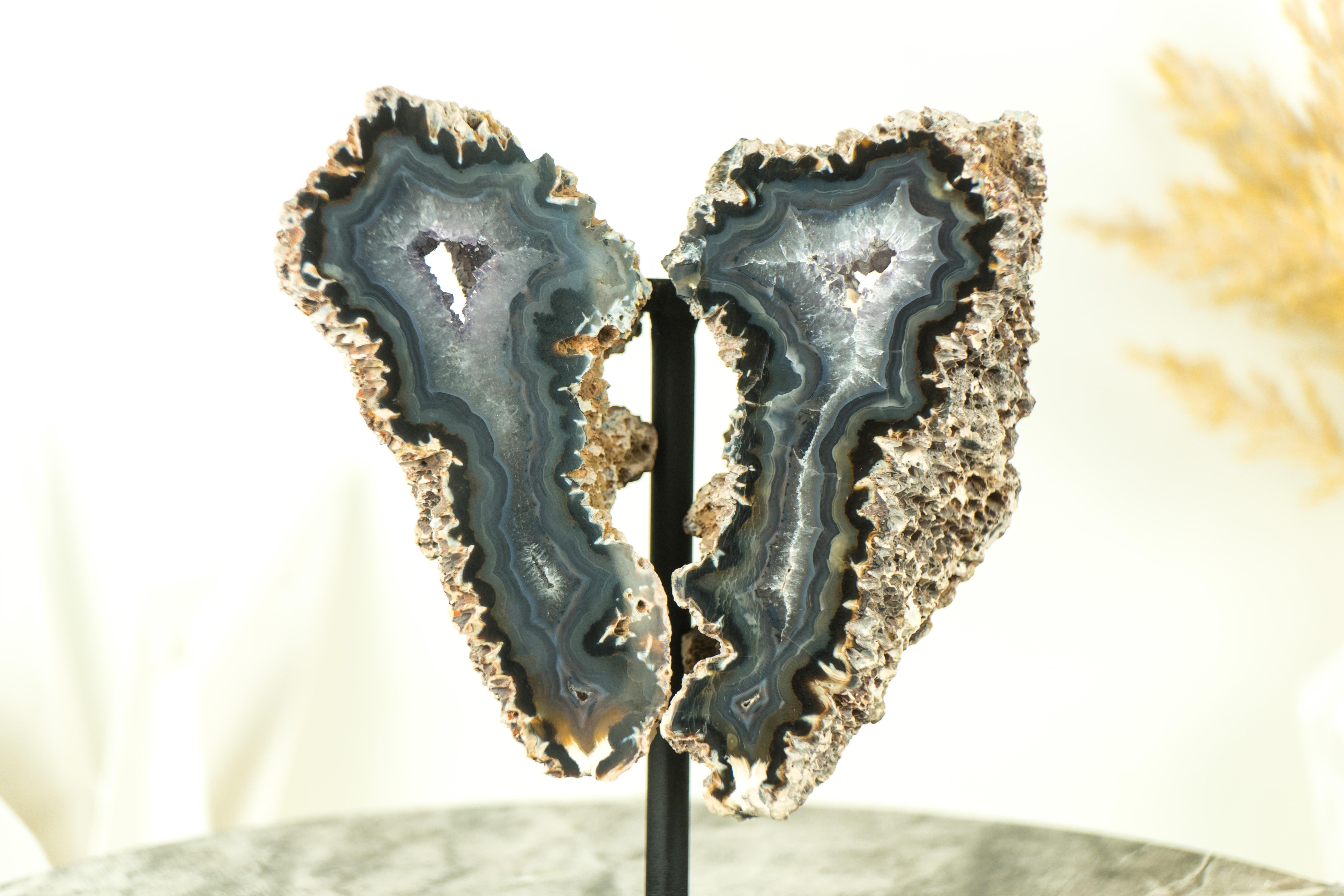 Amethyst Small Spiky Lace Agate Geode with Druzy, in Butterfly Wings Format, Intact For Sale