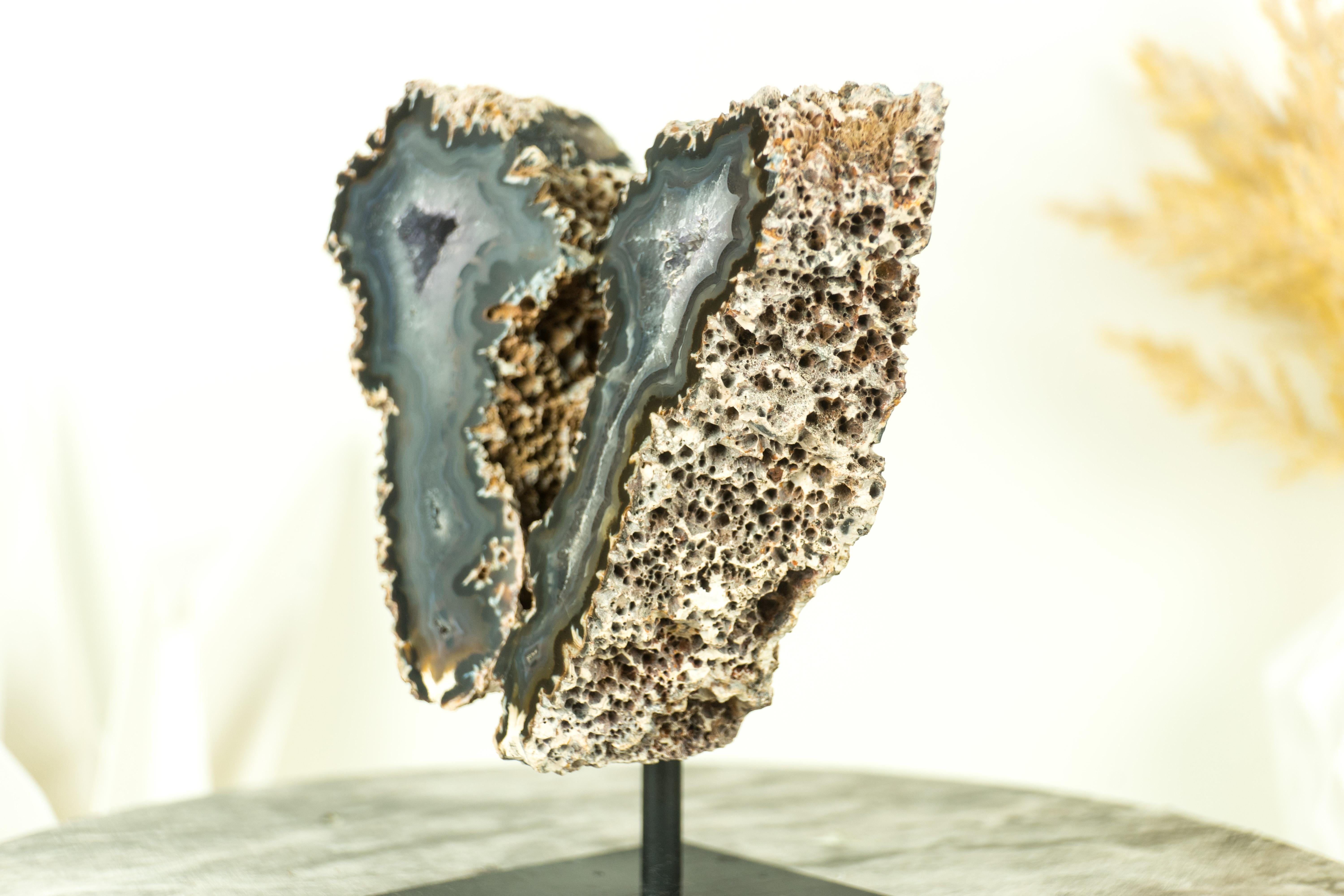 Small Spiky Lace Agate Geode with Druzy, in Butterfly Wings Format, Intact For Sale 1