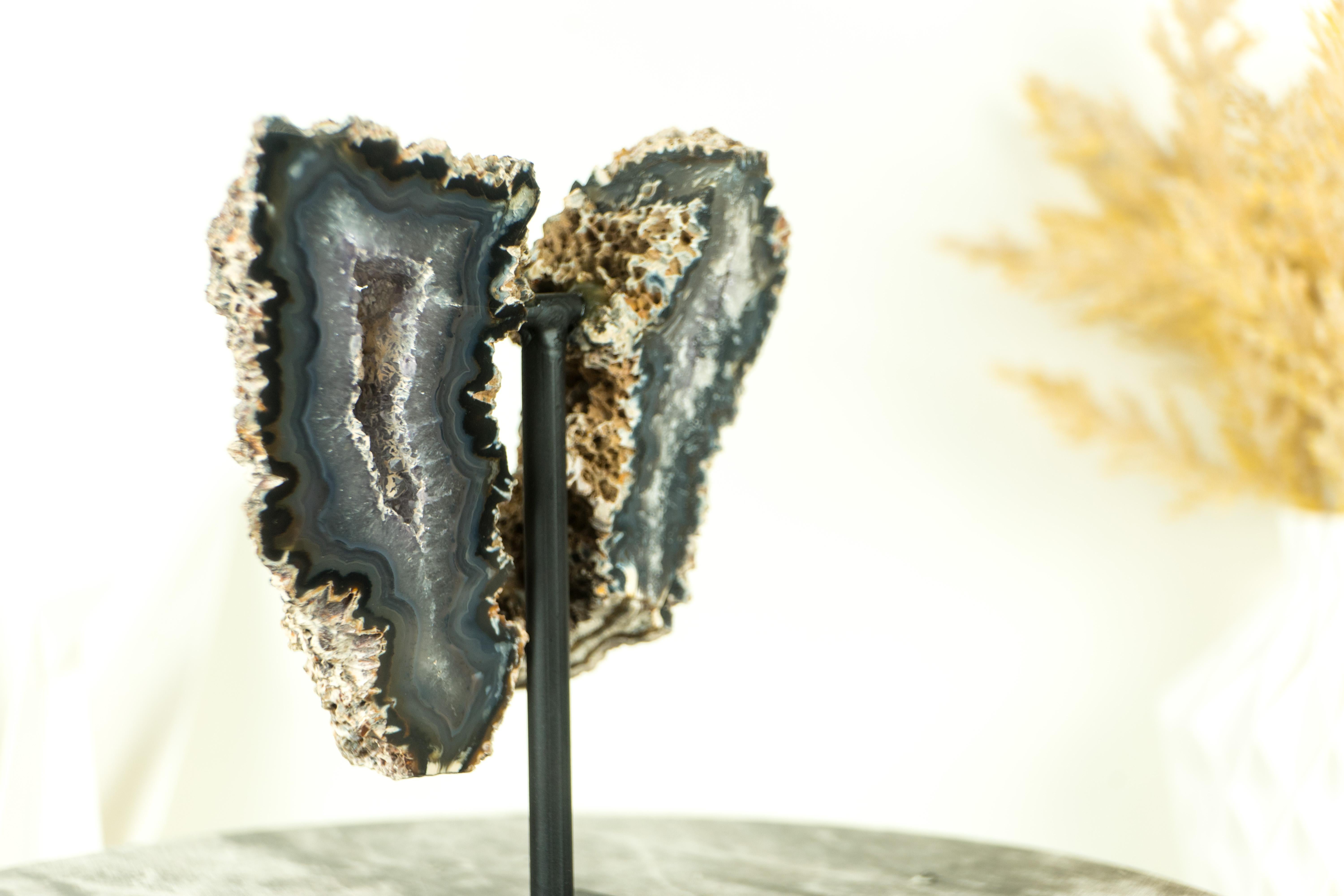 Small Spiky Lace Agate Geode with Druzy, in Butterfly Wings Format, Intact For Sale 2