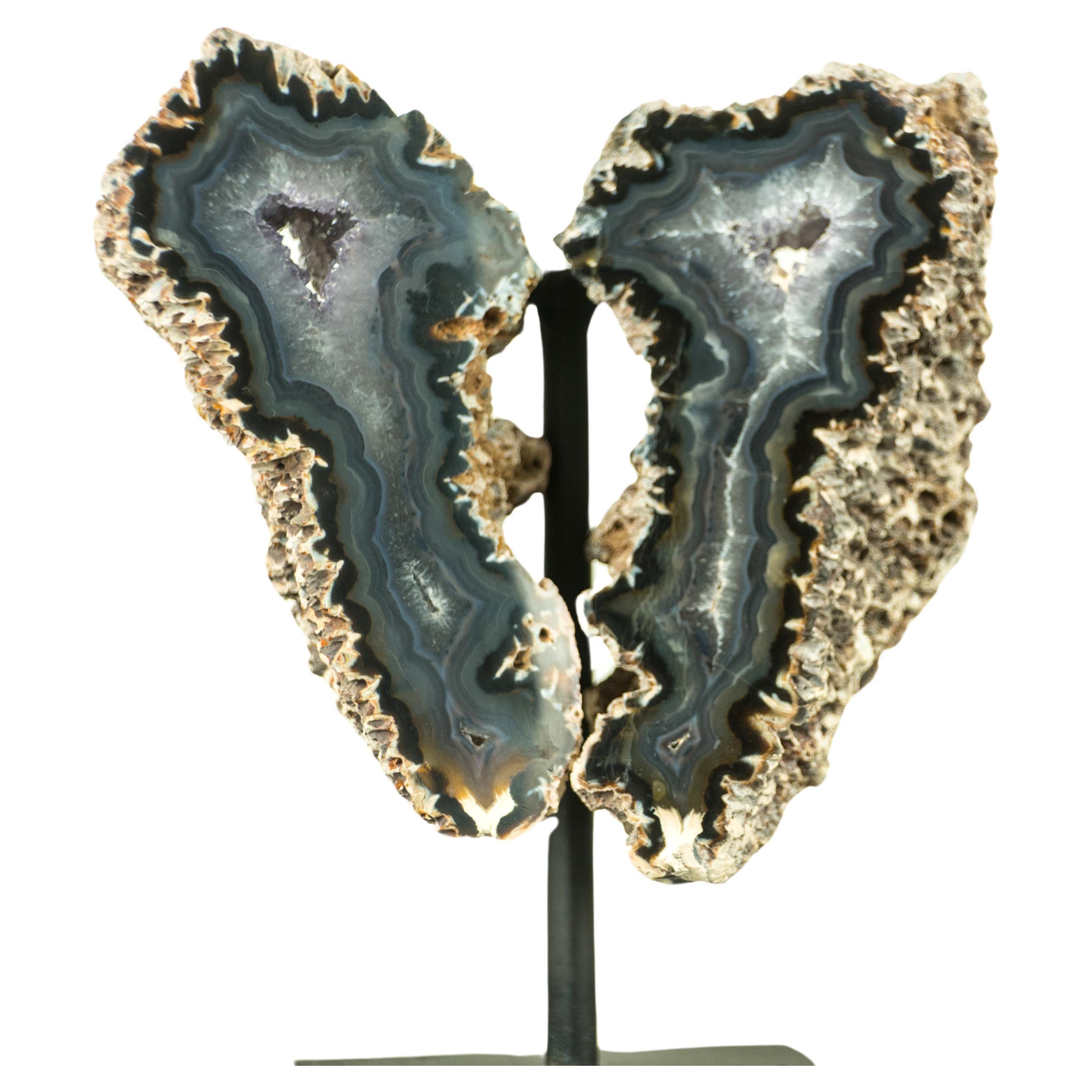 Kleiner Spiky Lace Achat Geode mit Druzy, in Schmetterlingsflügelformat, Intact