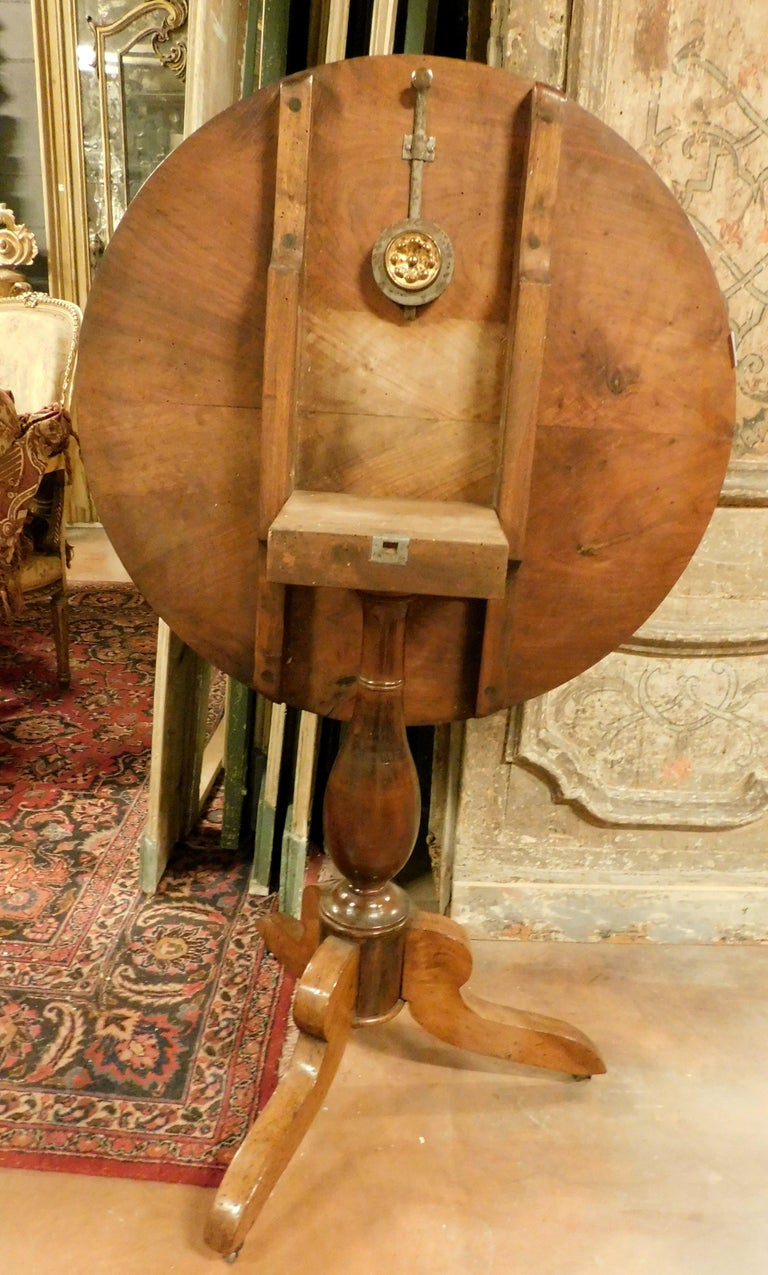 Small table in walnut for living room, with 