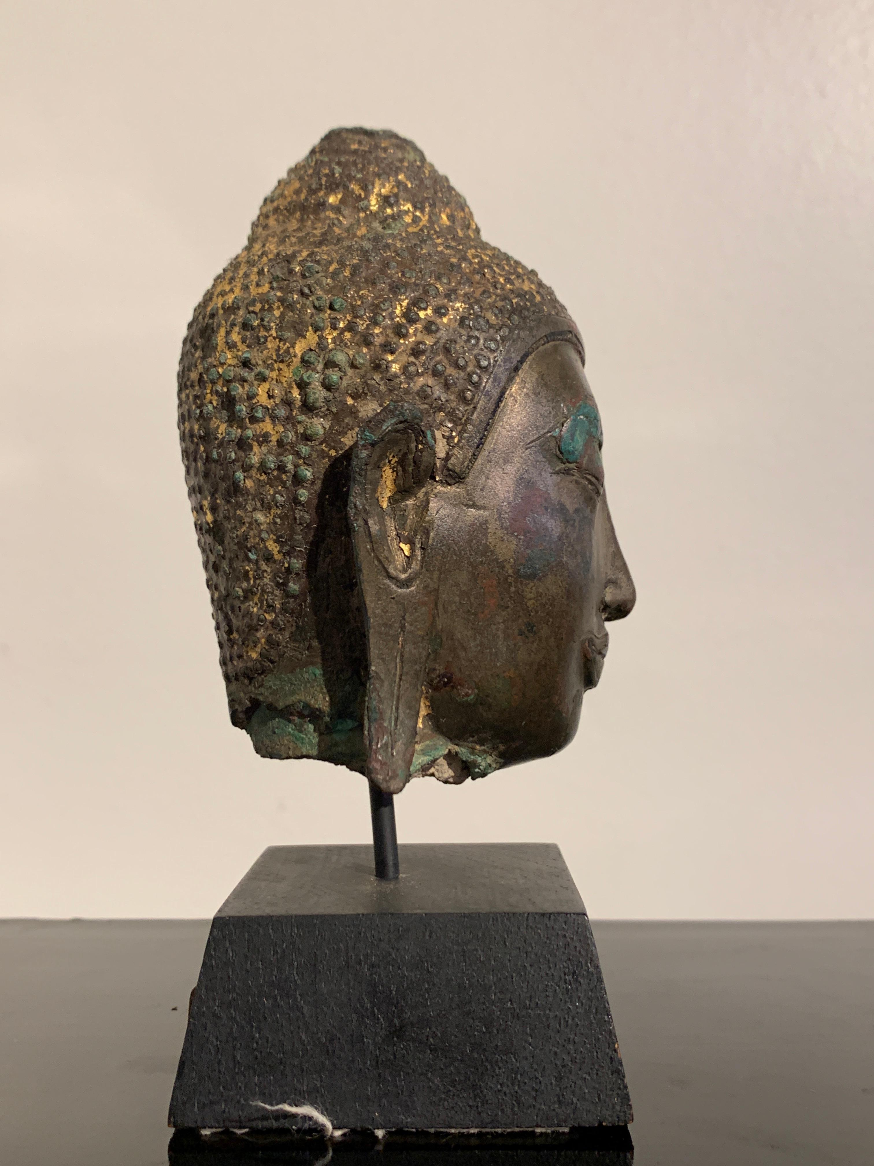 Small Thai Ayutthaya U Thong Style Bronze Buddha Head, 14th-15th Century 1