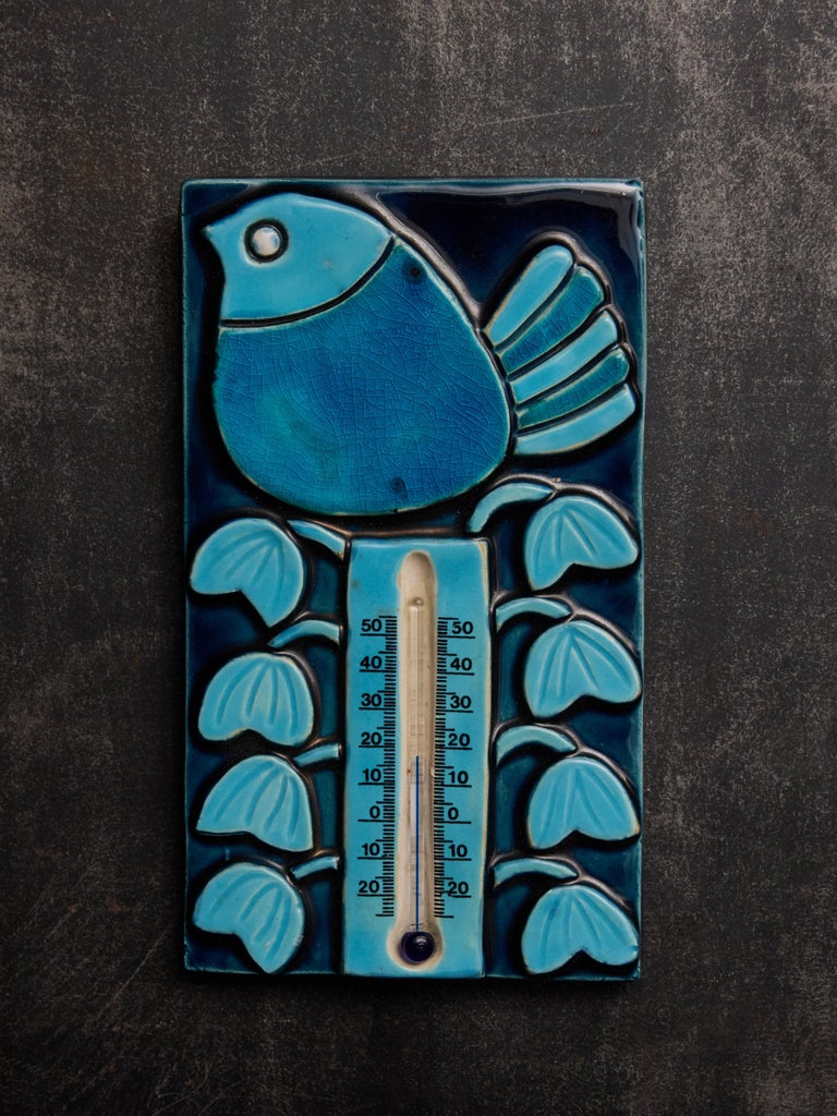 Thermomètre Mural Décoratif Oiseau - Double Échelle Celsius/Fahrenheit - Idée Cadeau Originale - Avec Boîte Cadeau