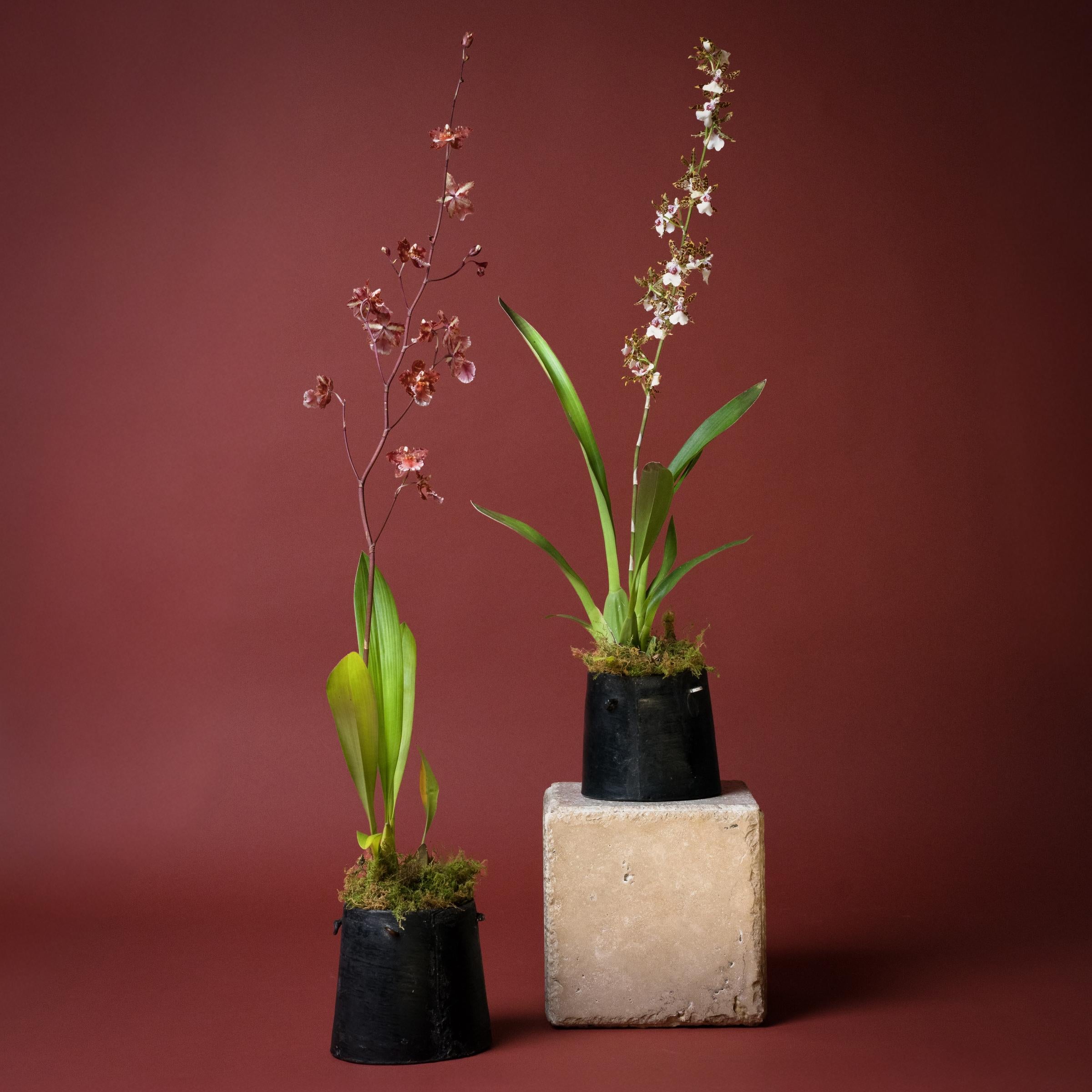 Questo tavolo minimalista a forma di blocco è realizzato in marmo travertino chiaro con linee pulite e proporzioni equilibrate. Il piccolo espositore esemplifica lo stile Organic Modern con i bordi cesellati, i lati levigati e i motivi irregolari e