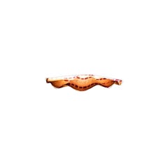 Small Turkey Tail Wall Sconce by Sashi Malik