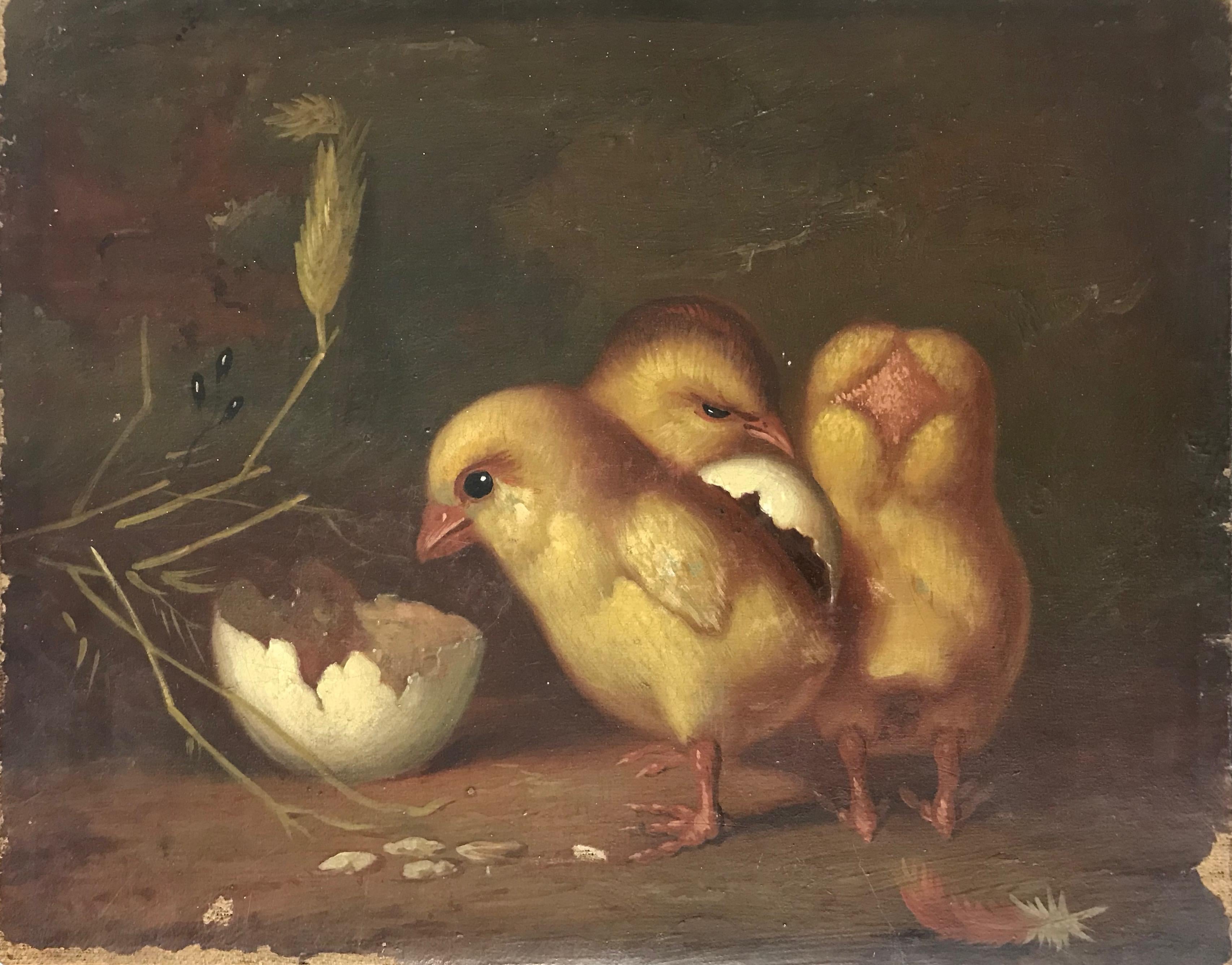 This is a sweet little turn of the century oil on canvas of 3 freshly hatched chicks.
