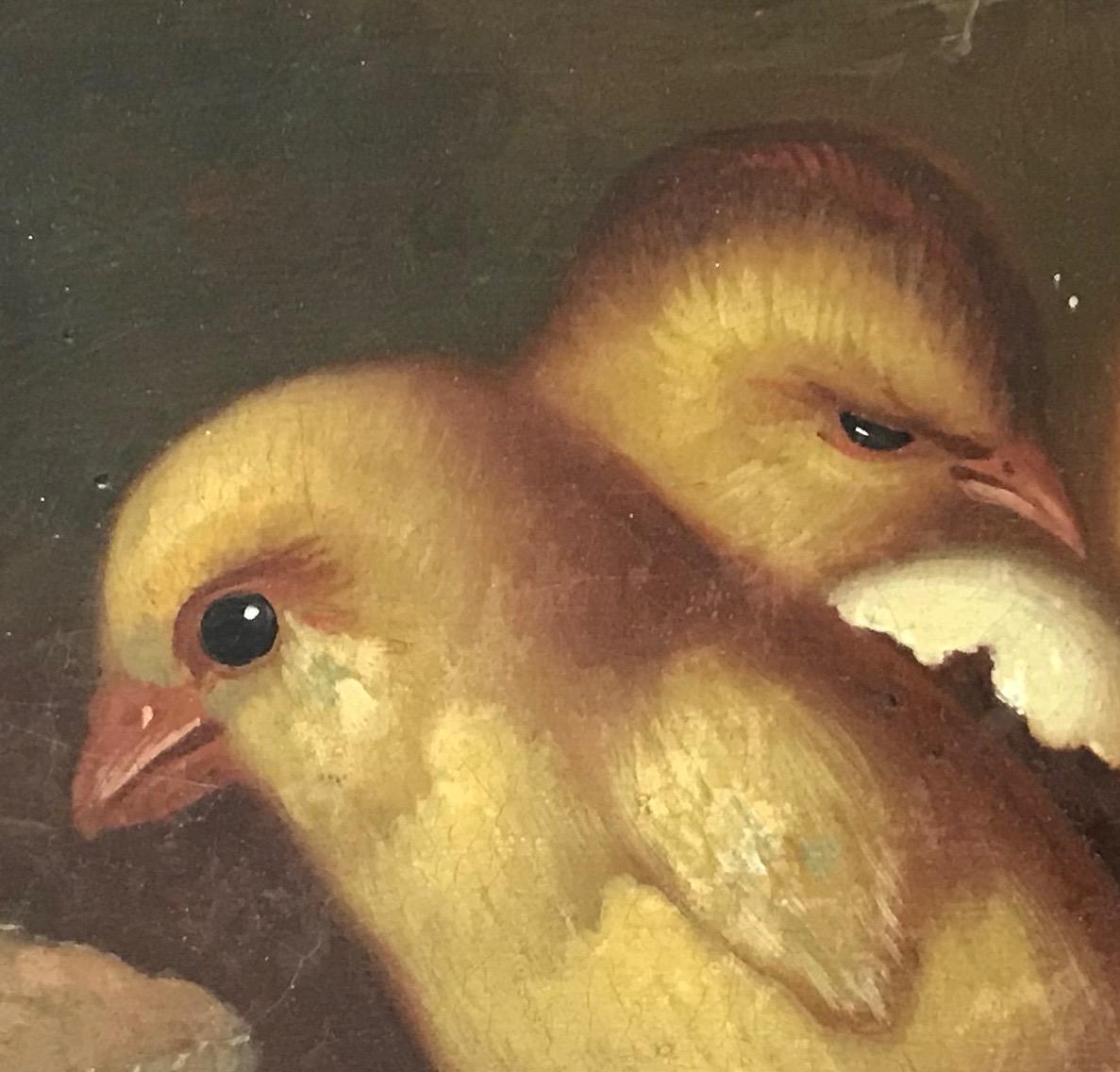 Small Turn of the Century “Fresh Chicks” Oil on Canvas 3