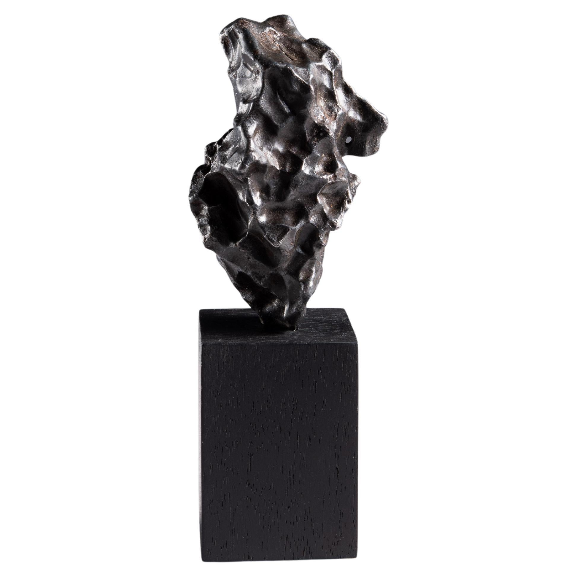 Small Twisted Meteorite Fragment with Impressions