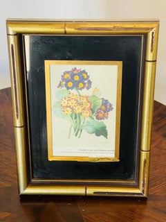Vintage Botanical Chromolithograph Print in Gold Frame, 9x7 Inches