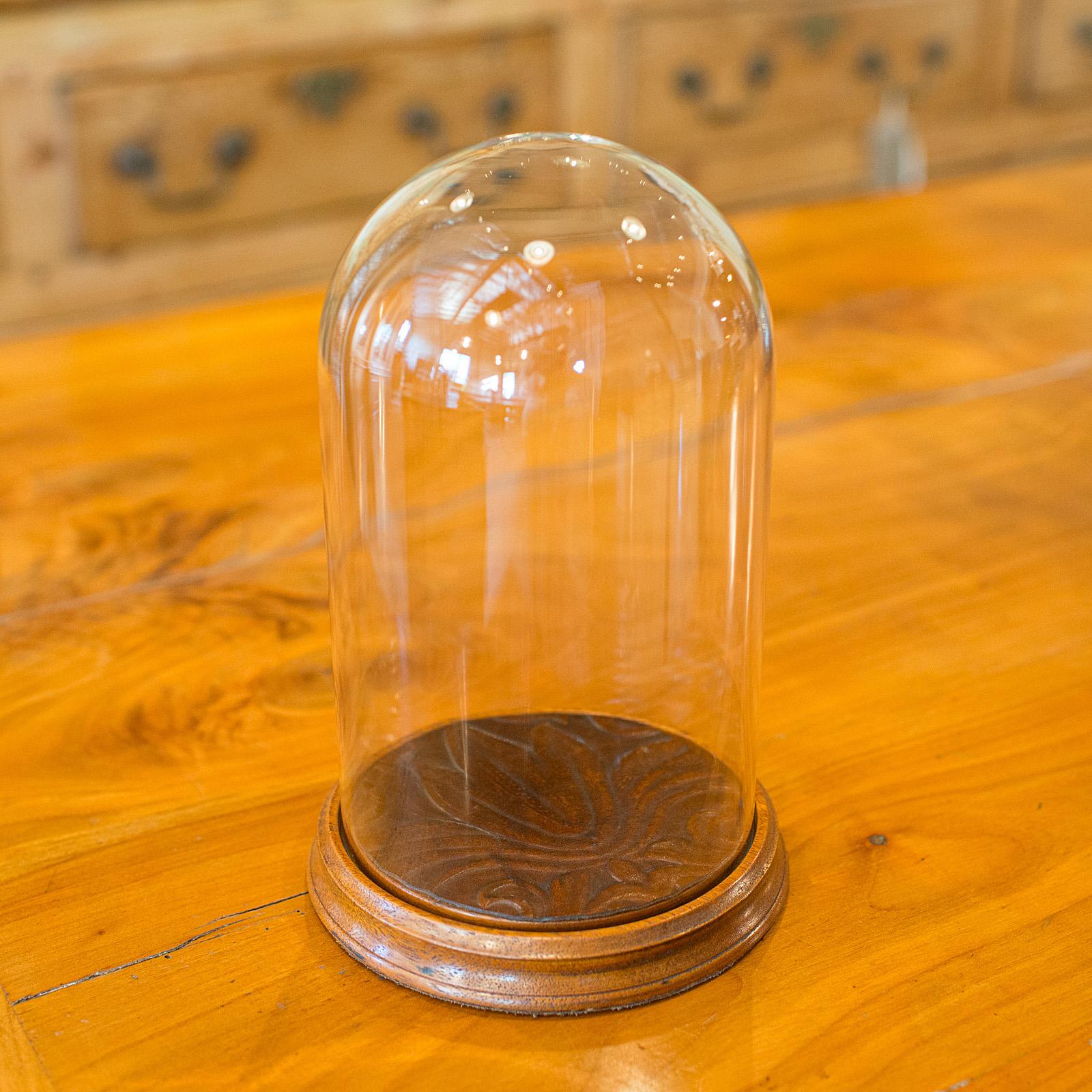 Si tratta di una piccola cupola da esposizione vintage. Vetrina inglese in vetro e mogano, risalente alla metà del XX secolo, circa 1950. Una cupola piccola e affascinante, ideale per essere esposta su un tavolo e per presentare in modo elegante le