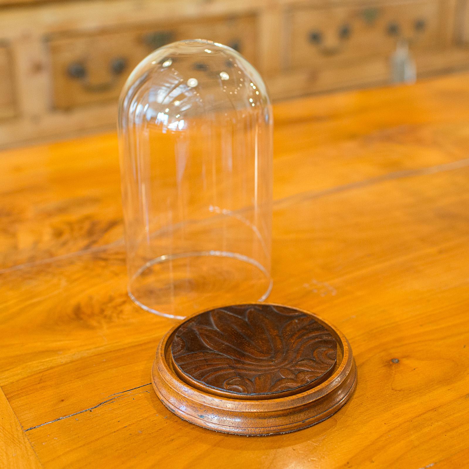 Britannico Piccola cupola espositiva d'epoca, vetrina di vetro inglese, metà del XX secolo, CIRCA 1950 in vendita