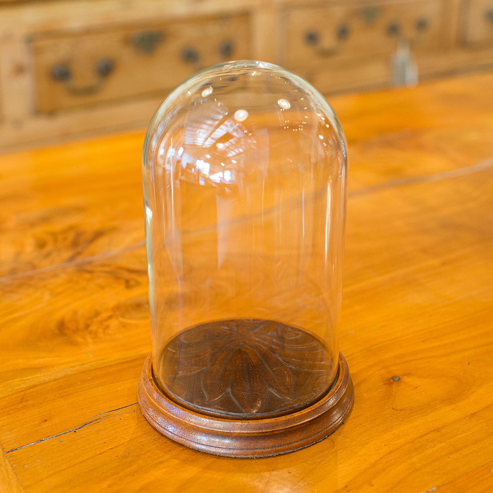 Piccola cupola espositiva d'epoca, vetrina di vetro inglese, metà del XX secolo, CIRCA 1950 In condizioni buone in vendita a Hele, Devon, GB