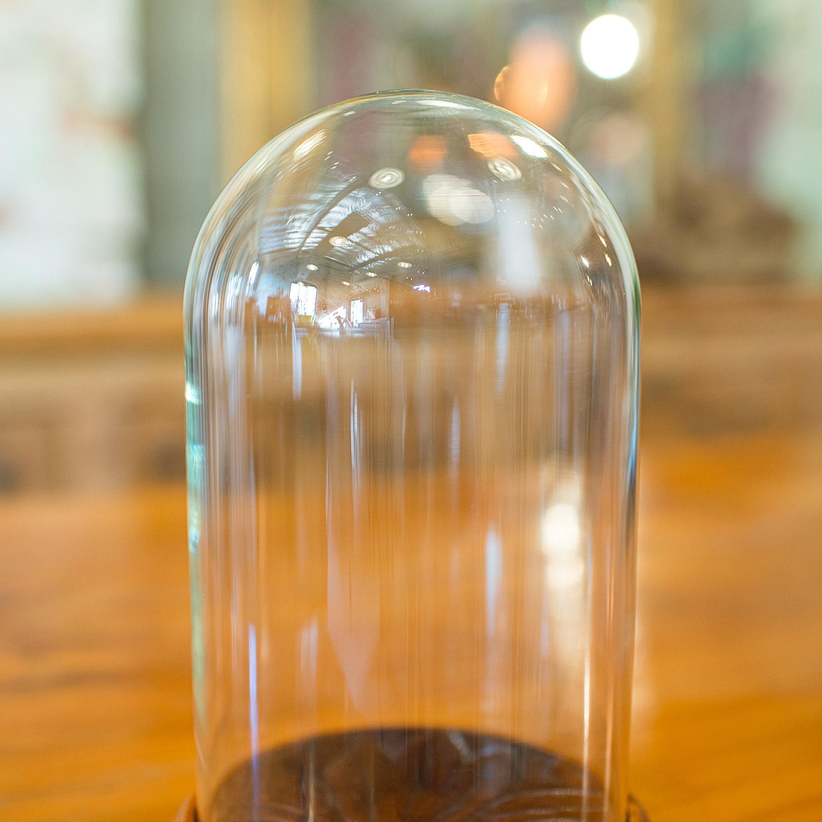 Piccola cupola espositiva d'epoca, vetrina di vetro inglese, metà del XX secolo, CIRCA 1950 in vendita 1
