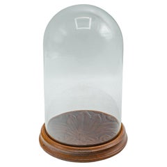 Piccola cupola espositiva d'epoca, vetrina di vetro inglese, metà del XX secolo, CIRCA 1950