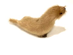 Small Vintage Seal Sculpture Made of Real Fur