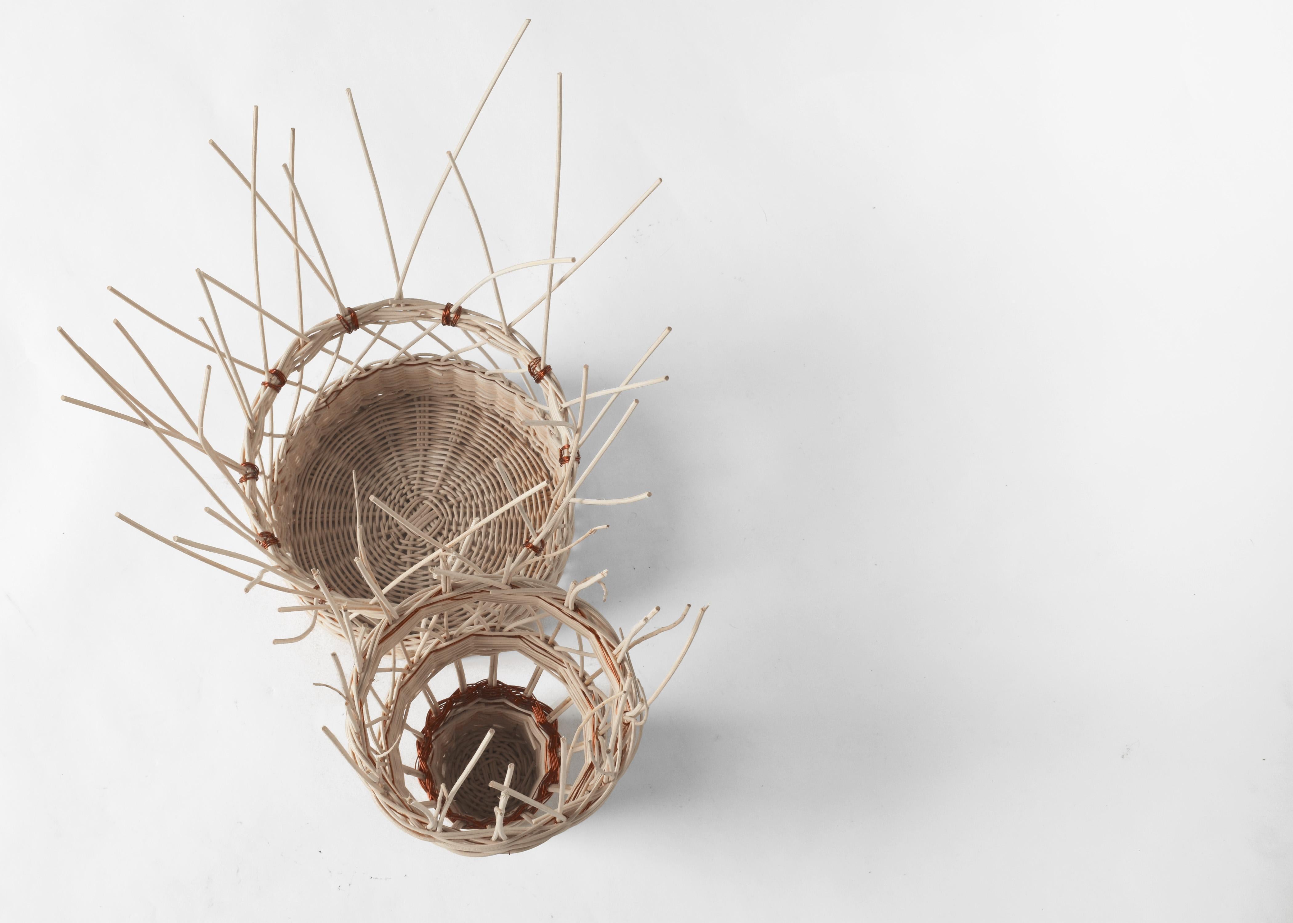 Contemporary Small Voodoo Basket by Edizione Limitata