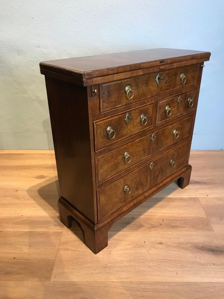 Small Walnut Bachelors Chest For Sale at 1stDibs