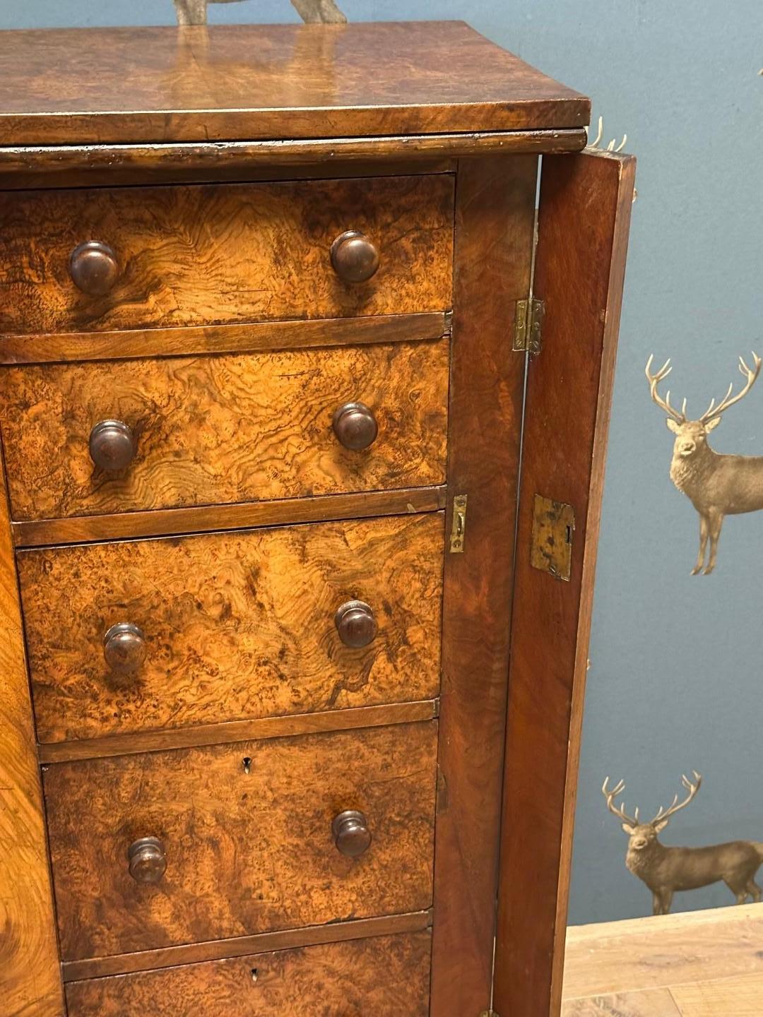 Walnut Small Wellington chest of drawers For Sale