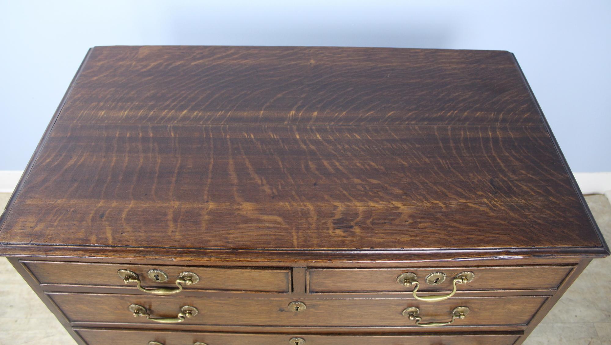 Small Welsh Period Oak Chest of Drawers, Original Hardware and Ogee Feet 1