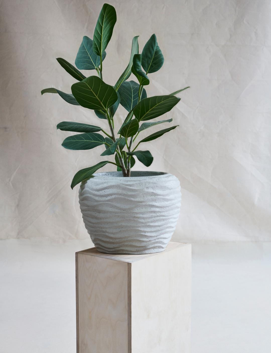 Cast Small White Crushed Limestone & Wood Vessel by Studio Laurence For Sale