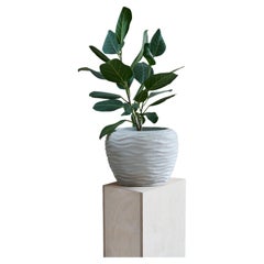 Small White Crushed Limestone 
Wood Vessel by Studio Laurence