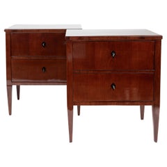 Smaller Pair of Sleek 19th Century Biedermeier Bedside Chests/End Tables