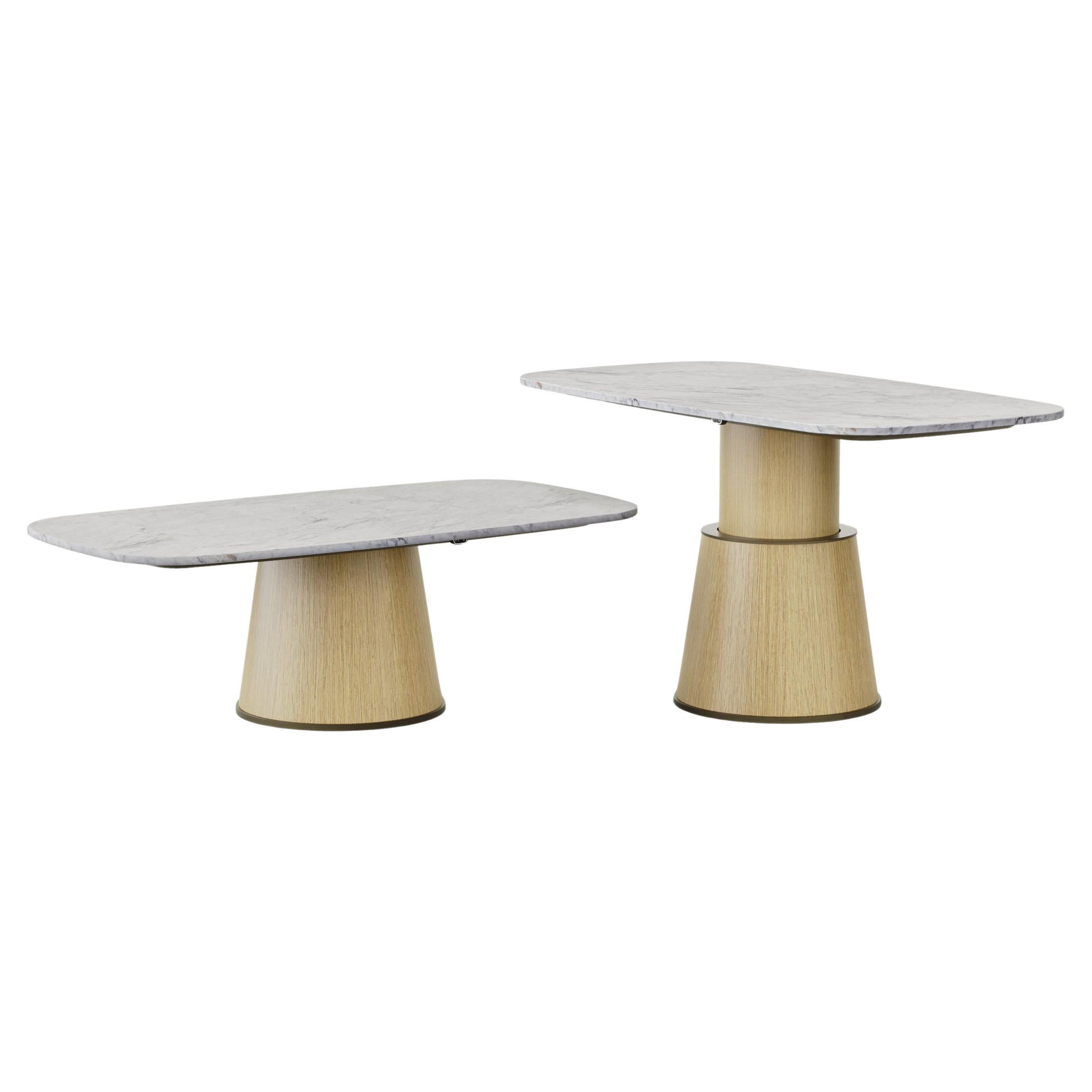 La Smart Table es una mesa ajustable arriba y abajo con tablero de mármol blanco de Carrara y base de madera de roble blanco que combina dos características clave: doble uso y tecnología.

De hecho, es una mesa única regulable en altura que, gracias