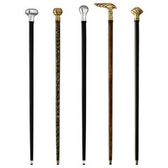 Smart Walking Sticks Set of Five in Solid Sheesham Wood