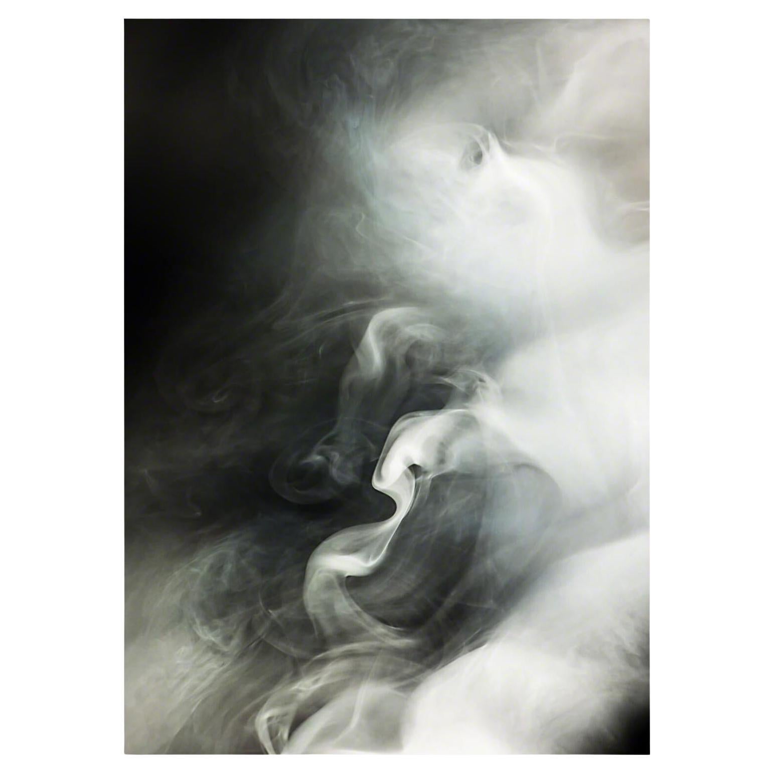 Daniele Albright, "Smoke and Mirrors 11", Art, 2014