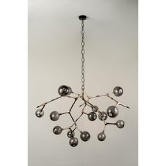 Branch 15 Smoke Glass and Polished Bronze Pendant Lamp by Isabel Moncada