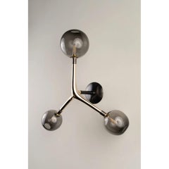Smoke Ocellus Aplique Contemporáneo de Vidrio Soplado by Isabel Moncada