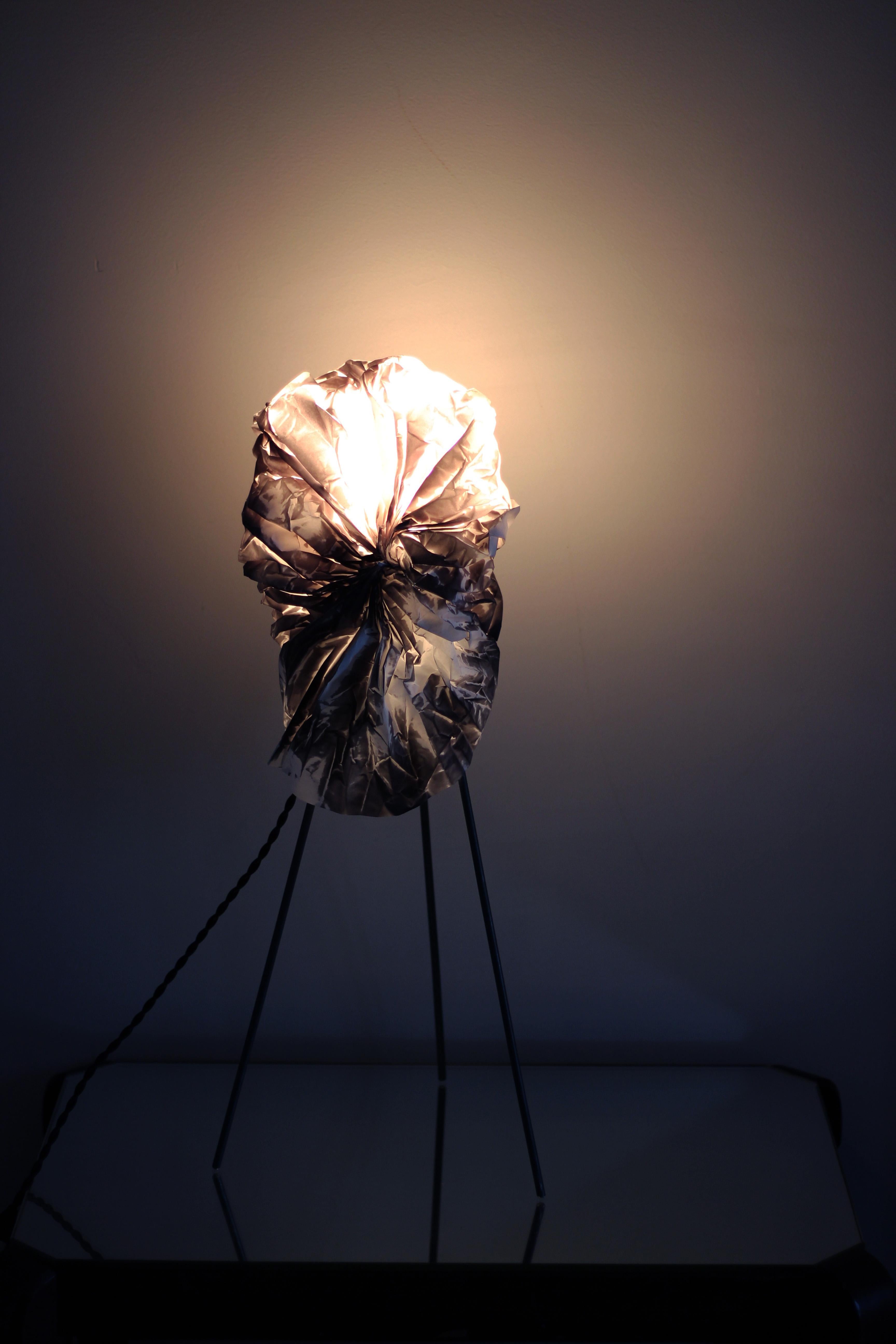 Smoke Sculptural Floor Lamp by Camille Deram In New Condition For Sale In Geneve, CH