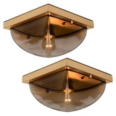 Smoked Glass Flush Mount or Wall Lights by Glashütte Limburg, 1970s