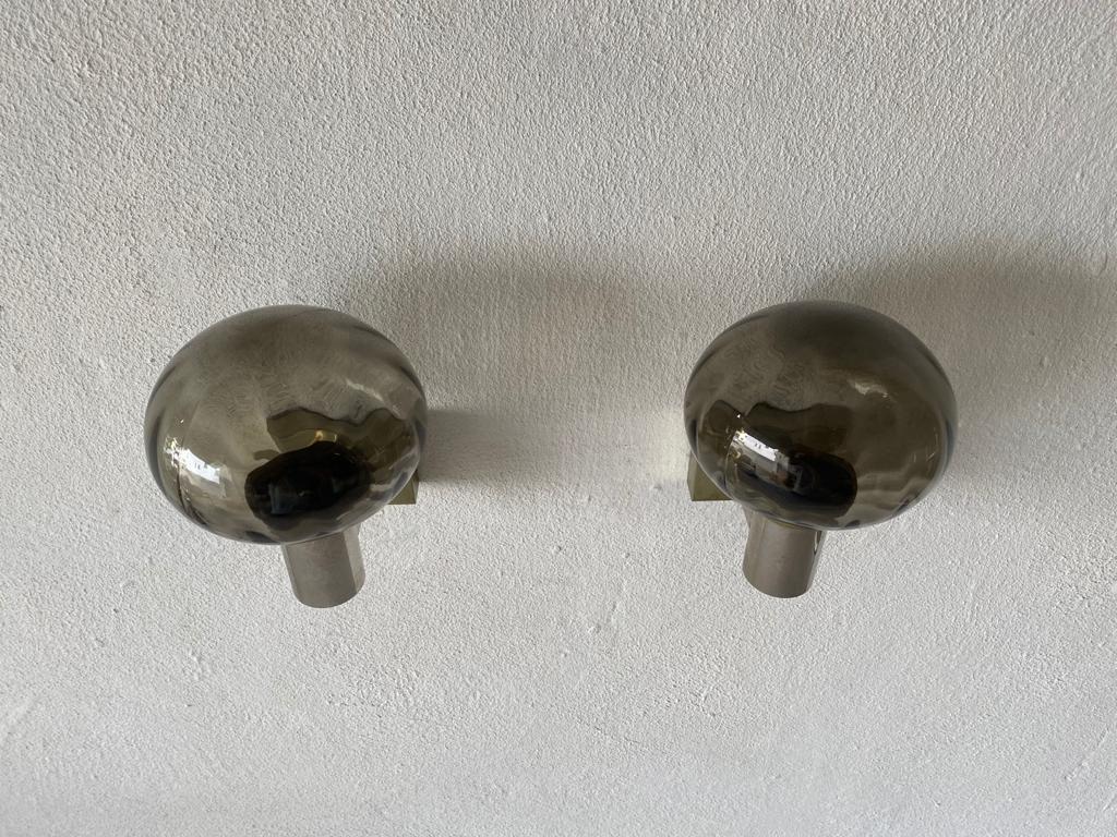 Smoked Glass Pair of Wall Lamps by N Leuchten, 1960s, Germany 4