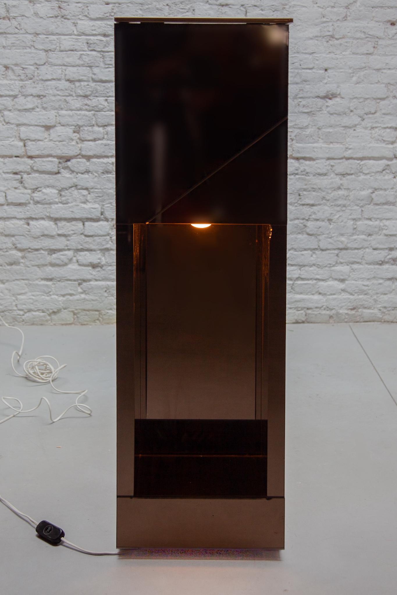 Verspiegeltes Pflanzgefäß aus Rauchglas, Stehlampe, 1970er Jahre, entworfen von Belgo chrome im Angebot 2