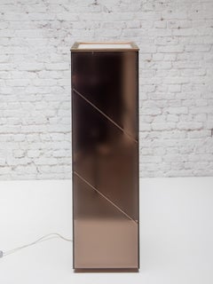 Jardinière en miroir fumé, lampadaire des années 1970 conçu par Belgo chrome