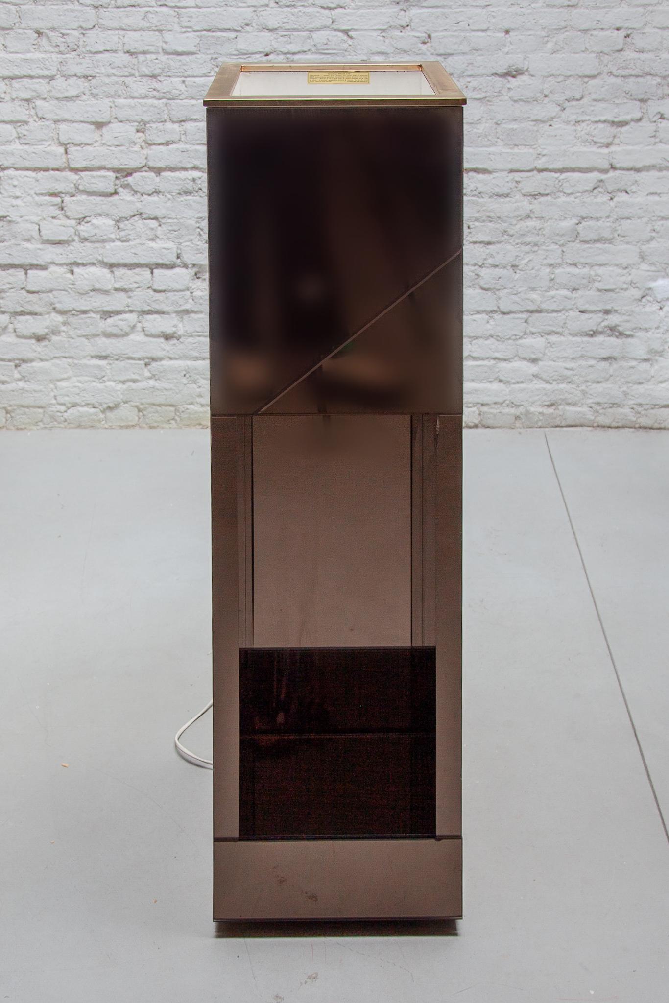 Verspiegeltes Pflanzgefäß aus Rauchglas, Stehlampe, 1970er Jahre, entworfen von Belgo chrome (Belgisch) im Angebot