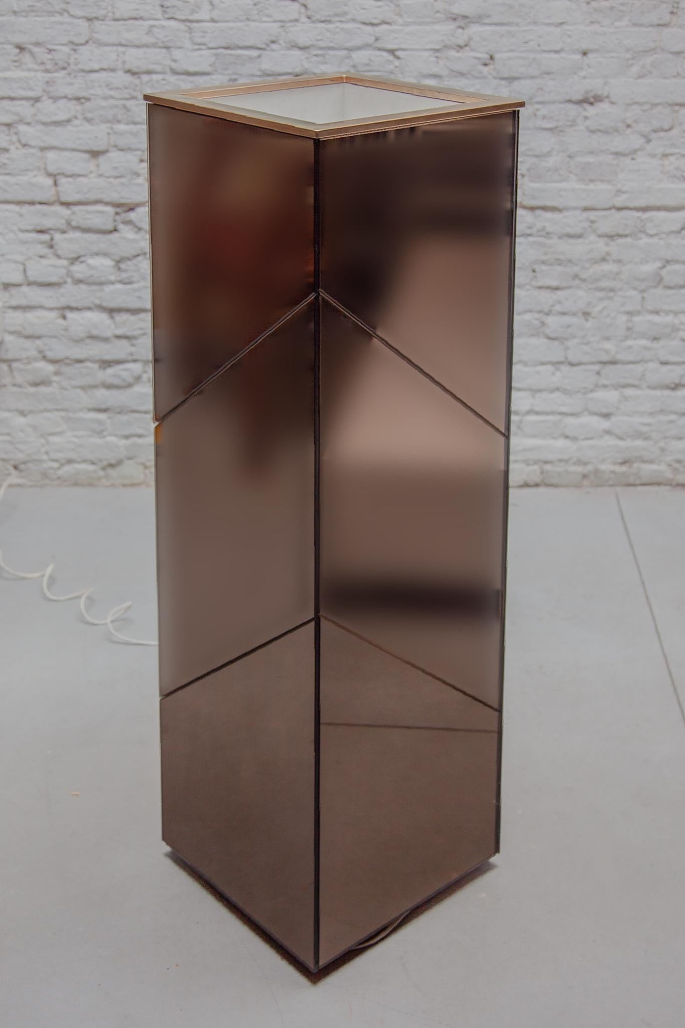 Smoked Mirrored Planter, Floor Lamp 1970s designed by Belgo chrome For Sale 1