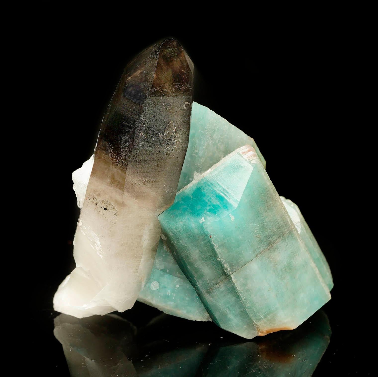 This remarkable specimen showcases a beautifully terminated intensely pigmented yet clear Smoky Quartz crystal rising beside a blocky formation of aqua-blue Amazonite or microcline Feldspar, offering a stunning juxtaposition of clarity and color.